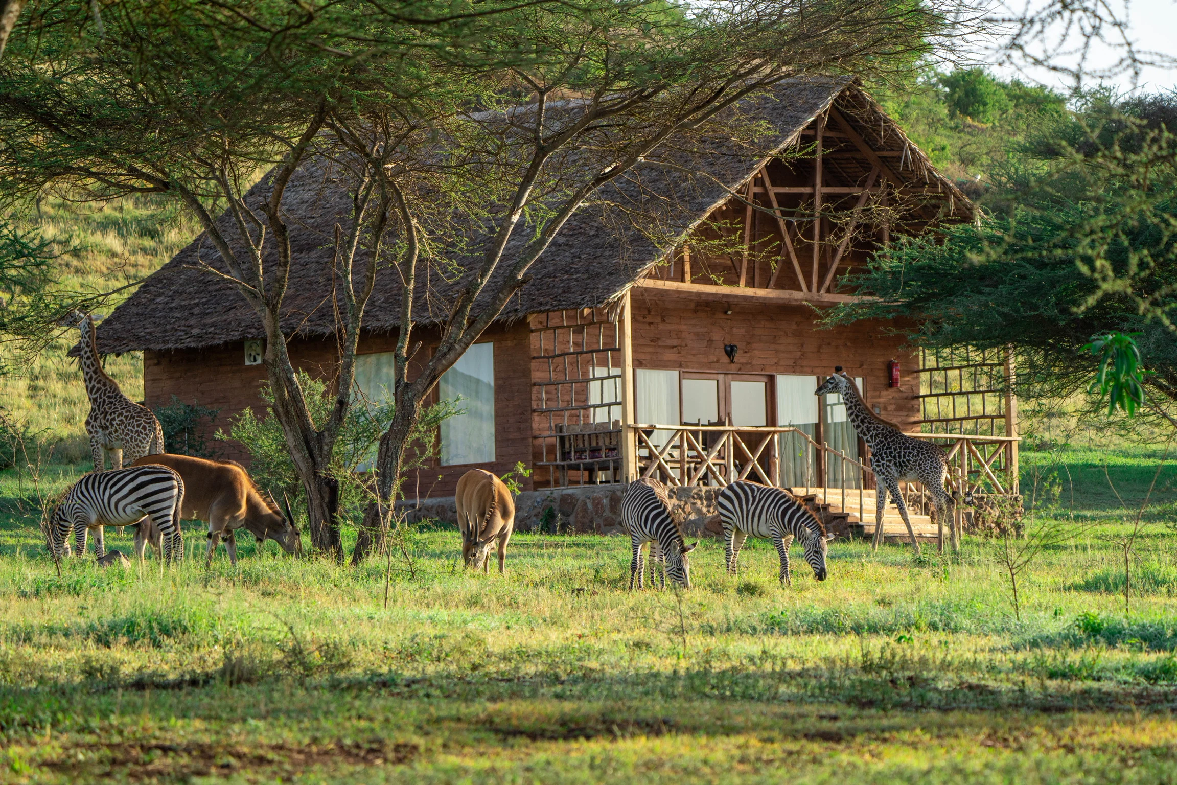 Serval Wildlife & Maasai Cultural Experience – photo 2