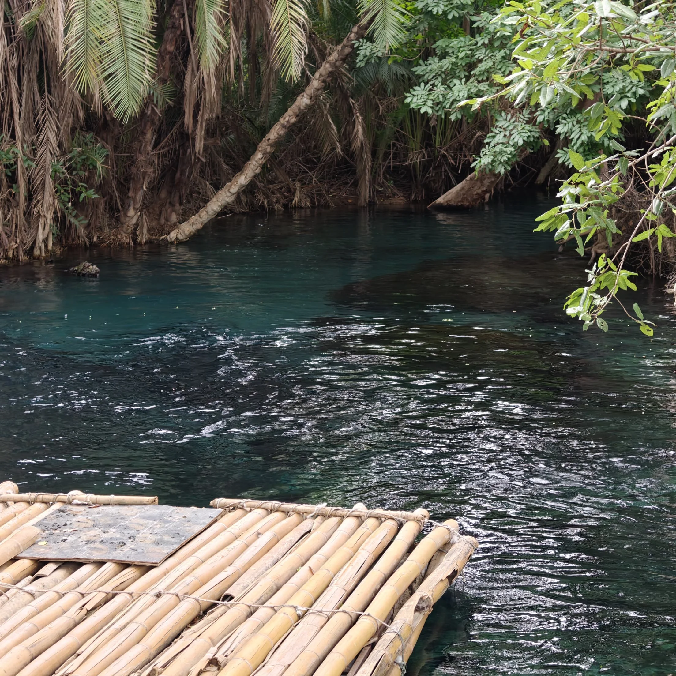 Materuni Waterfalls, Coffee Tour & Chemka Hot Springs – photo 28