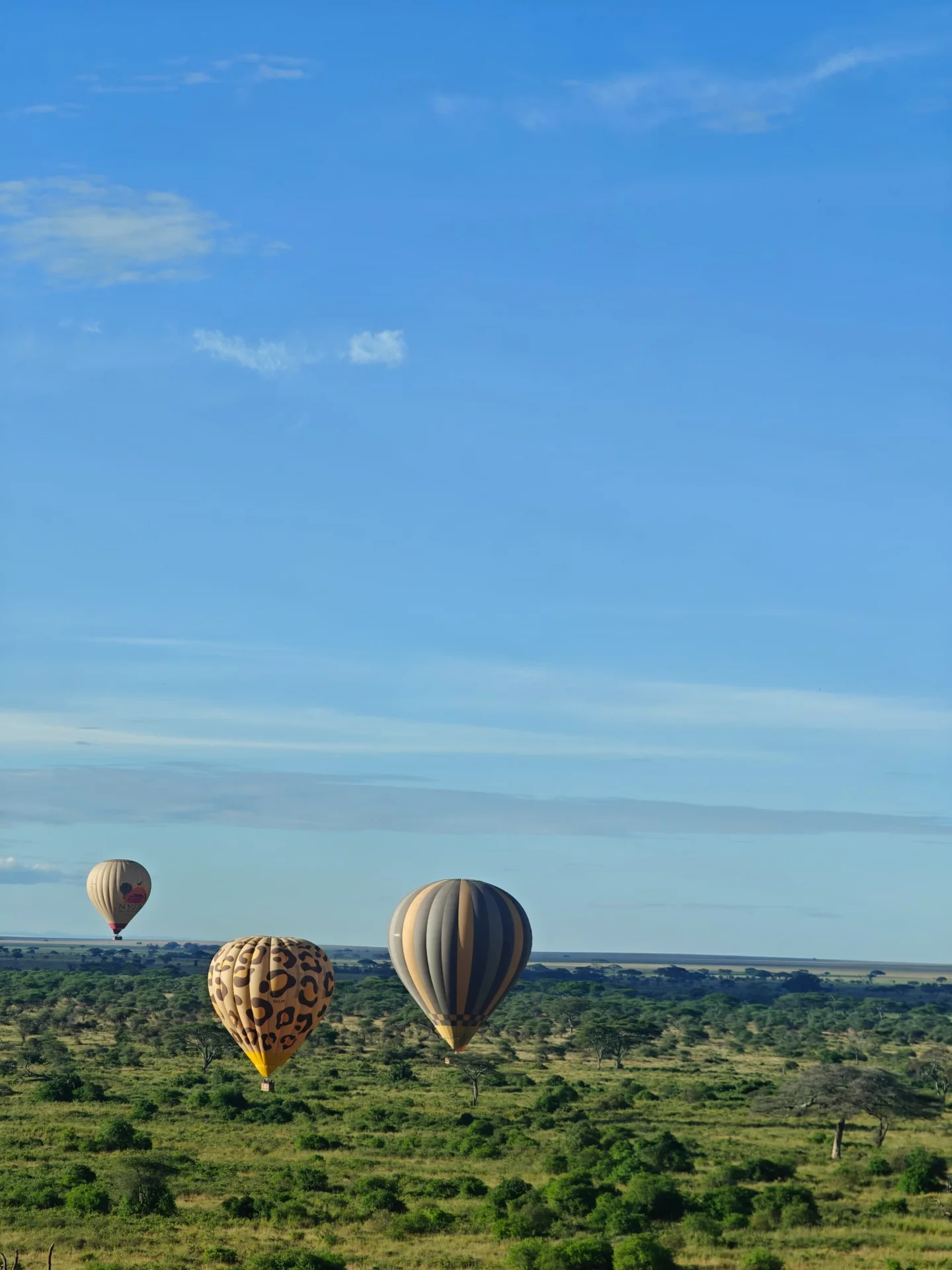 7-Day Luxury Tanzania Safari with Serengeti Balloon Flight