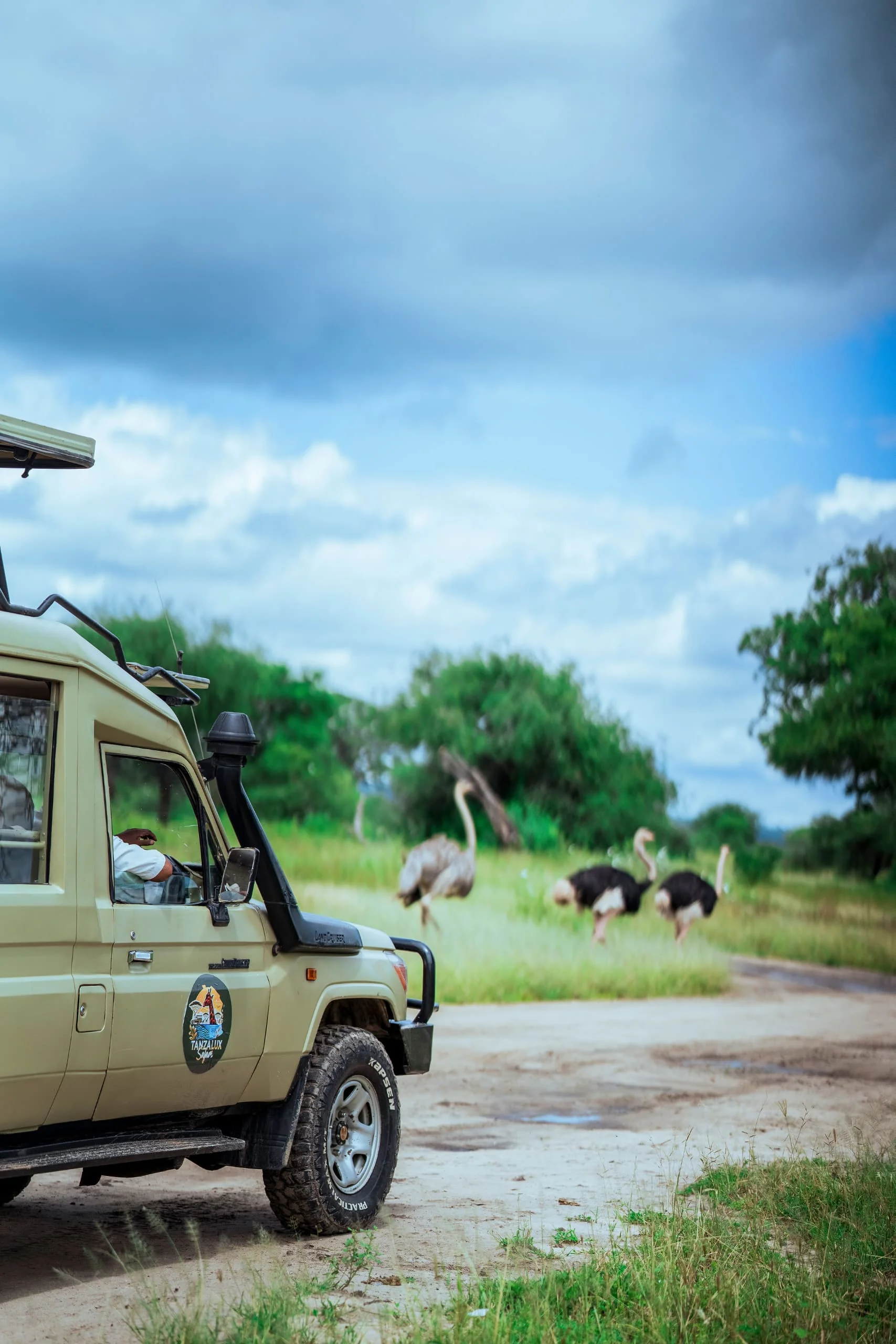 6-Day Private Tanzania Mid-Range Safari: Tarangire, Manyara, Serengeti & Ngorongoro