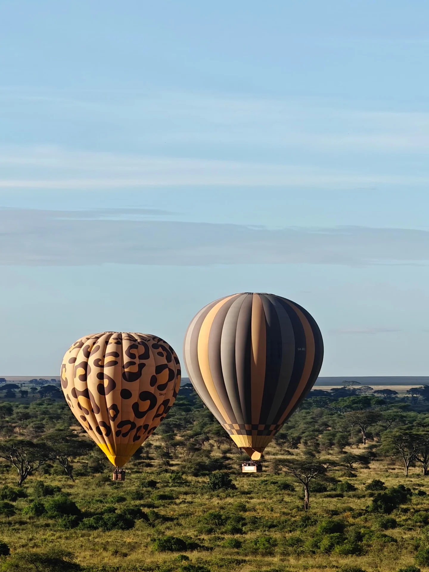 7-Day Luxury Tanzania Safari with Serengeti Balloon Flight – photo 2