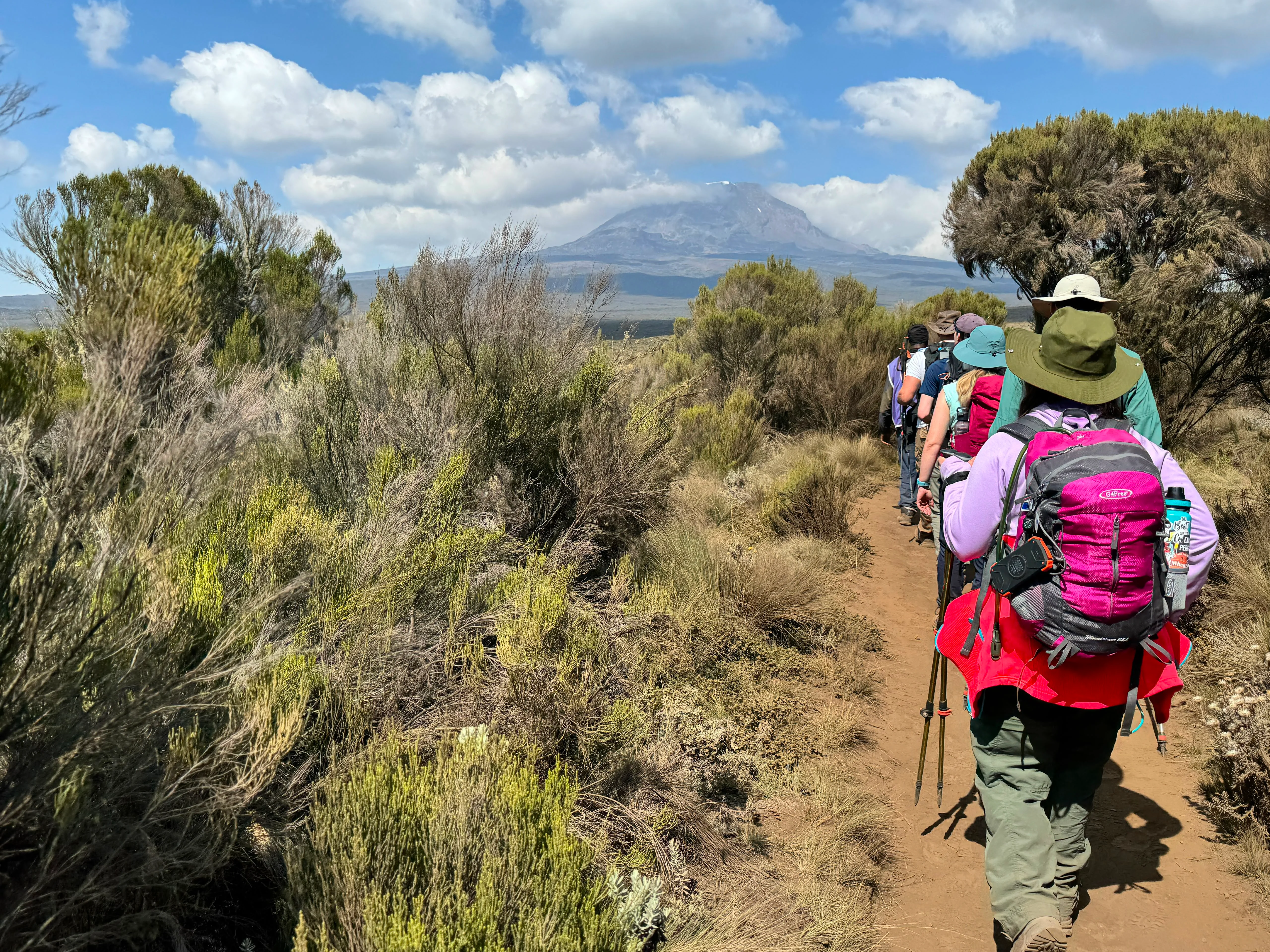1-Day Mount Kilimanjaro Machame Route Day Hike | Machame Camp