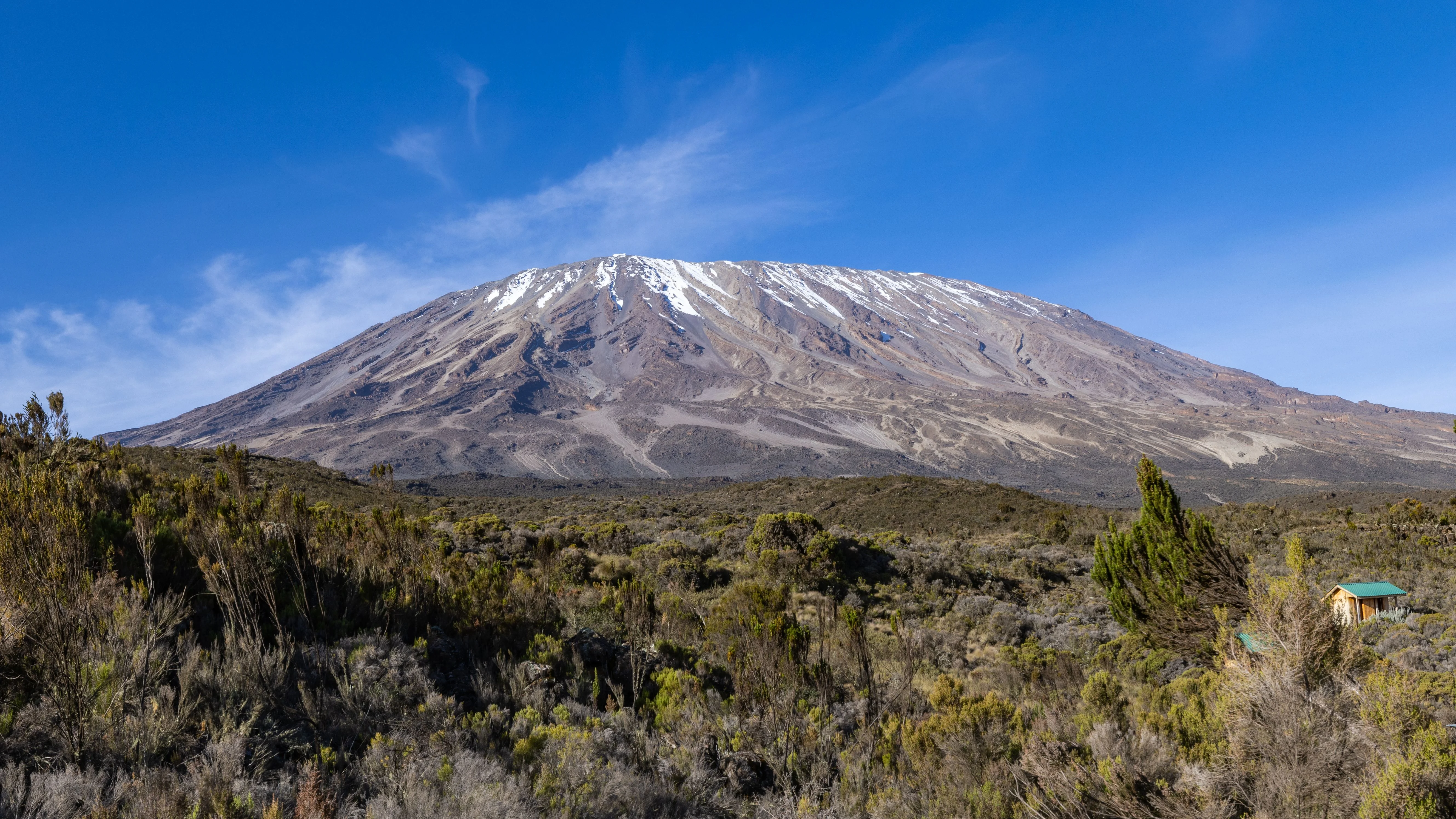 Mount Kilimanjaro rises above alpine vegetation beneath a clear blue sky along Tanzania's scenic Marangu Route trekking path.