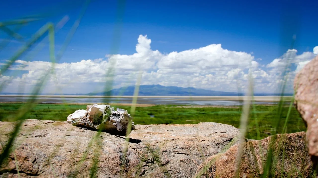 4-Day Private Camping Safari in Serengeti & Ngorongoro