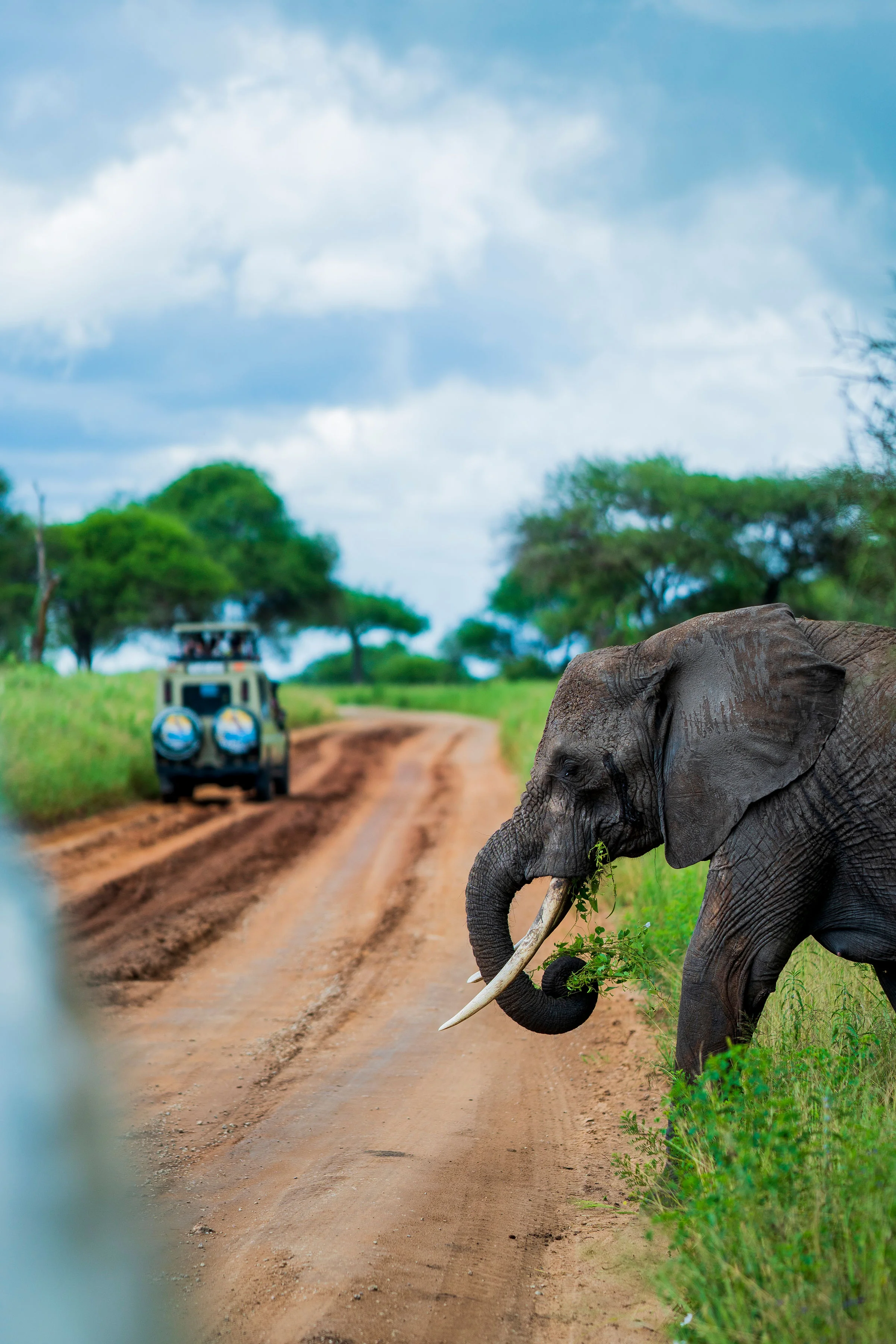 6-Day Private Tanzania Camping Safari: Tarangire, Serengeti & Ngorongoro