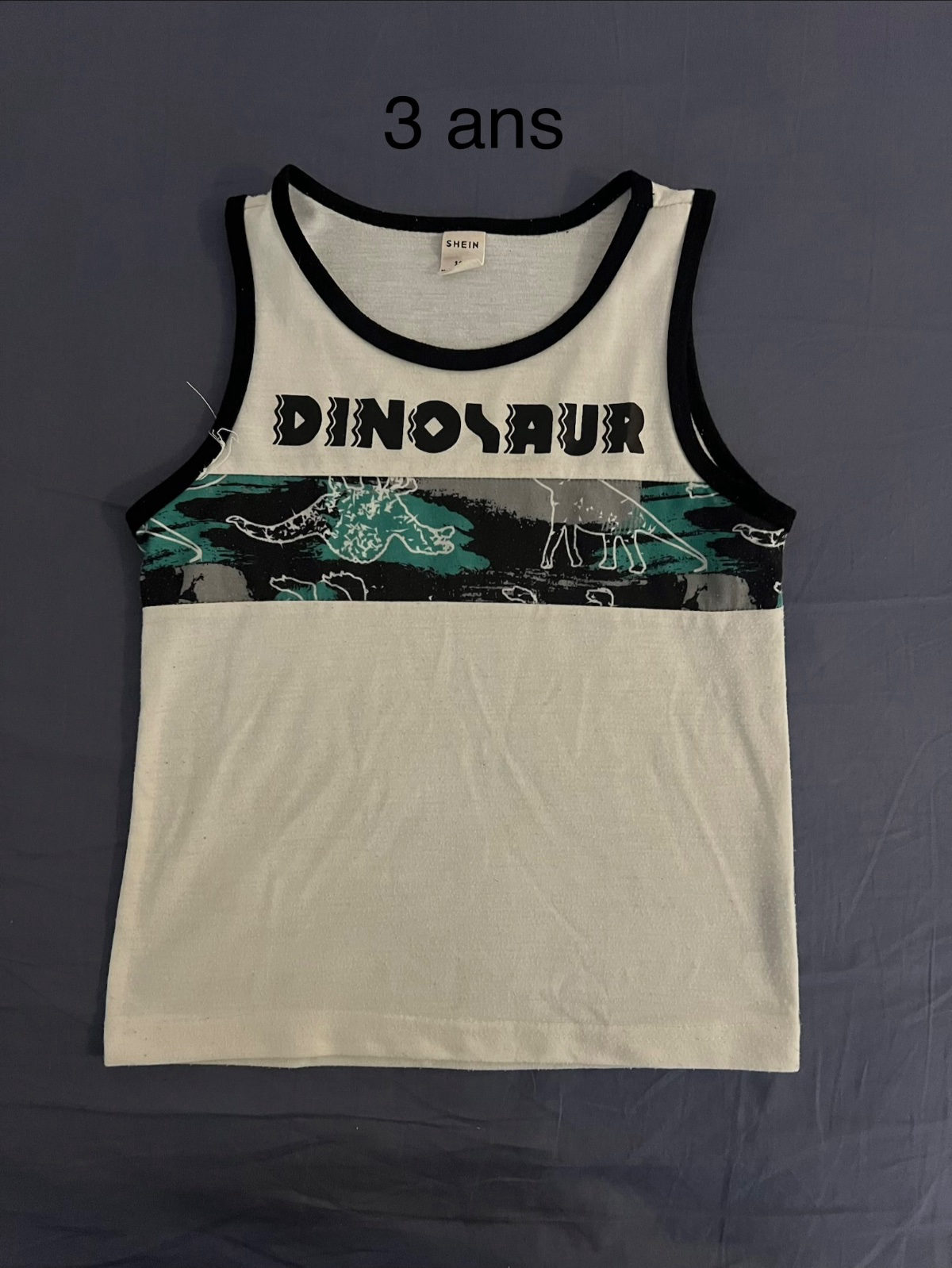 Lot de 3 débardeurs enfant motifs dinosaures et 'Hey Boy' photo 3