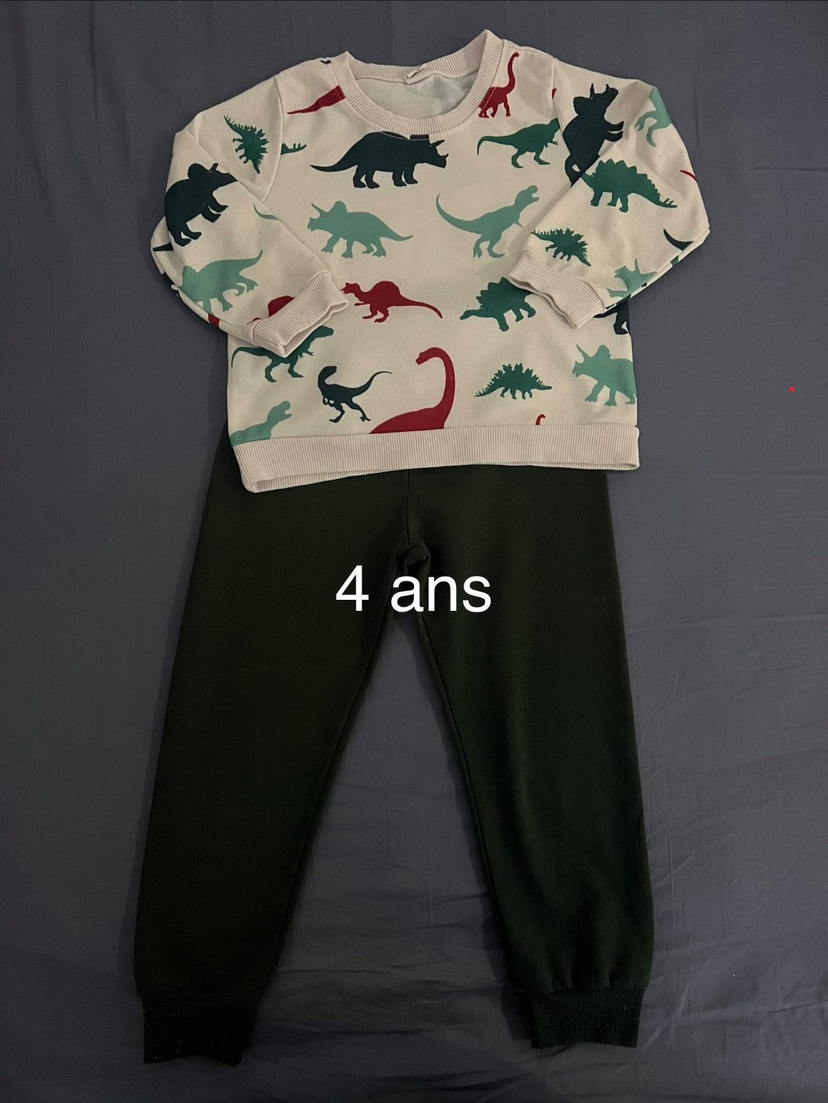 Ensemble sweat dinosaures et pantalon vert enfant photo 1