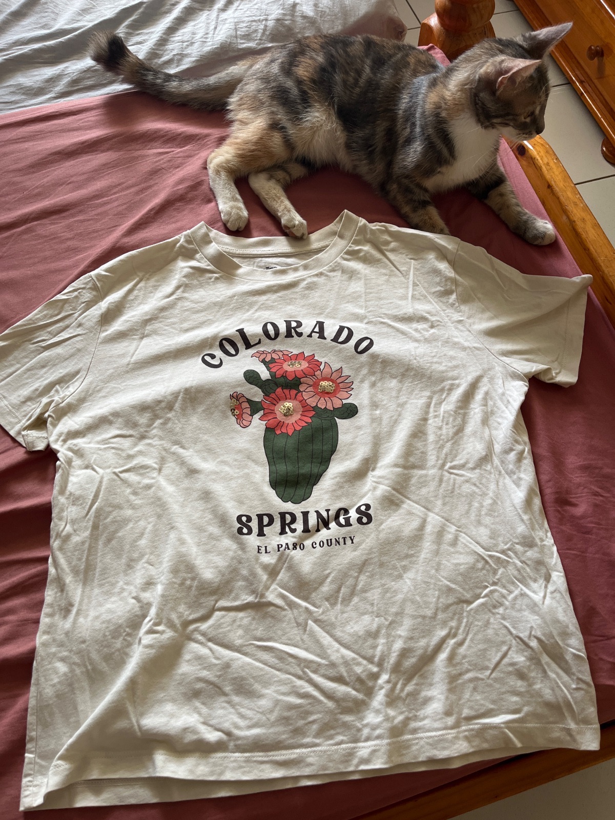 T-shirt Colorado Springs motif cactus fleuri photo 1