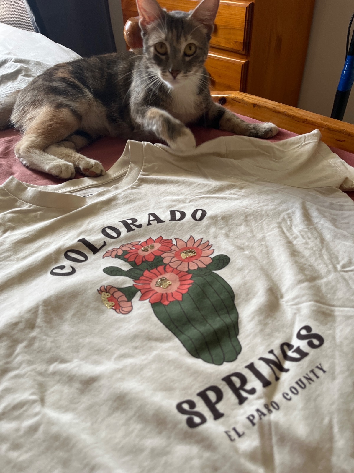 T-shirt Colorado Springs motif cactus fleuri photo 3
