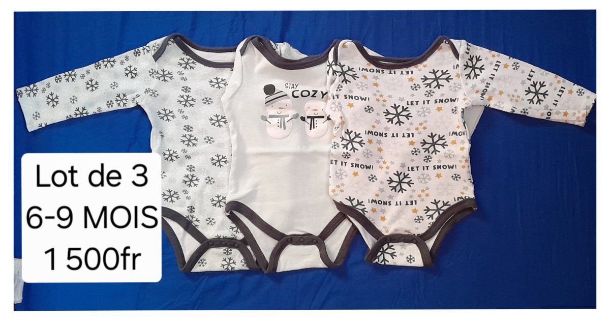 Lot de 3 bodies bébé "Hiver Douillet" photo 1