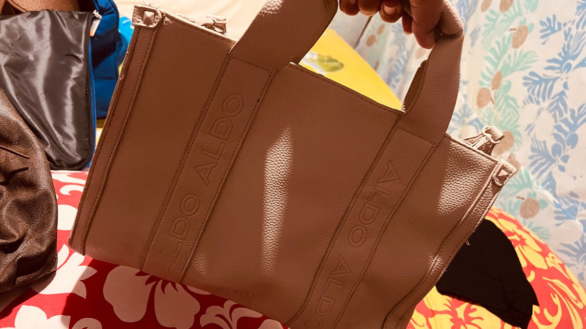 sac à main ALDO photo 2