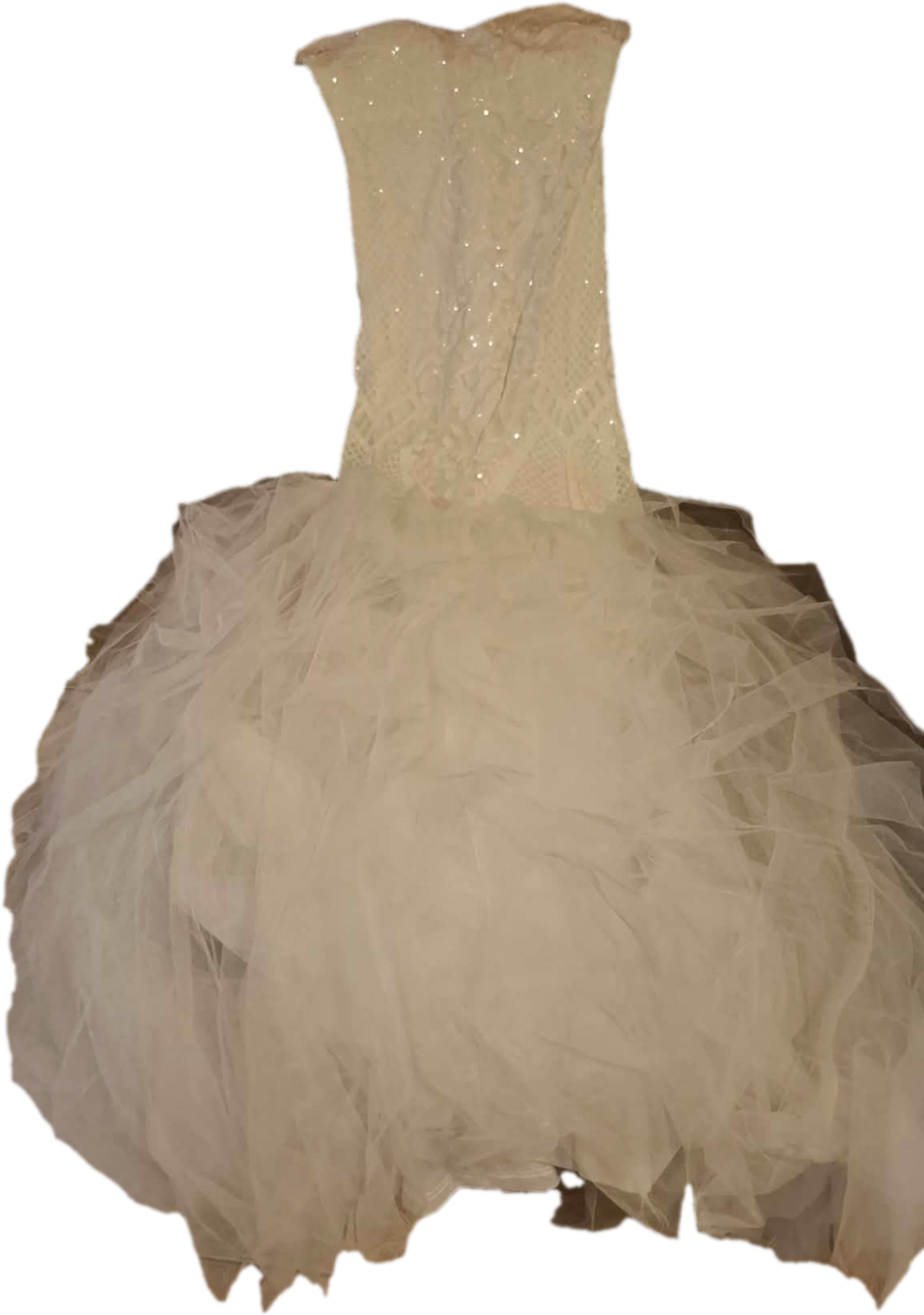 Robe de mariée bustier scintillante et jupe volumineuse photo 1