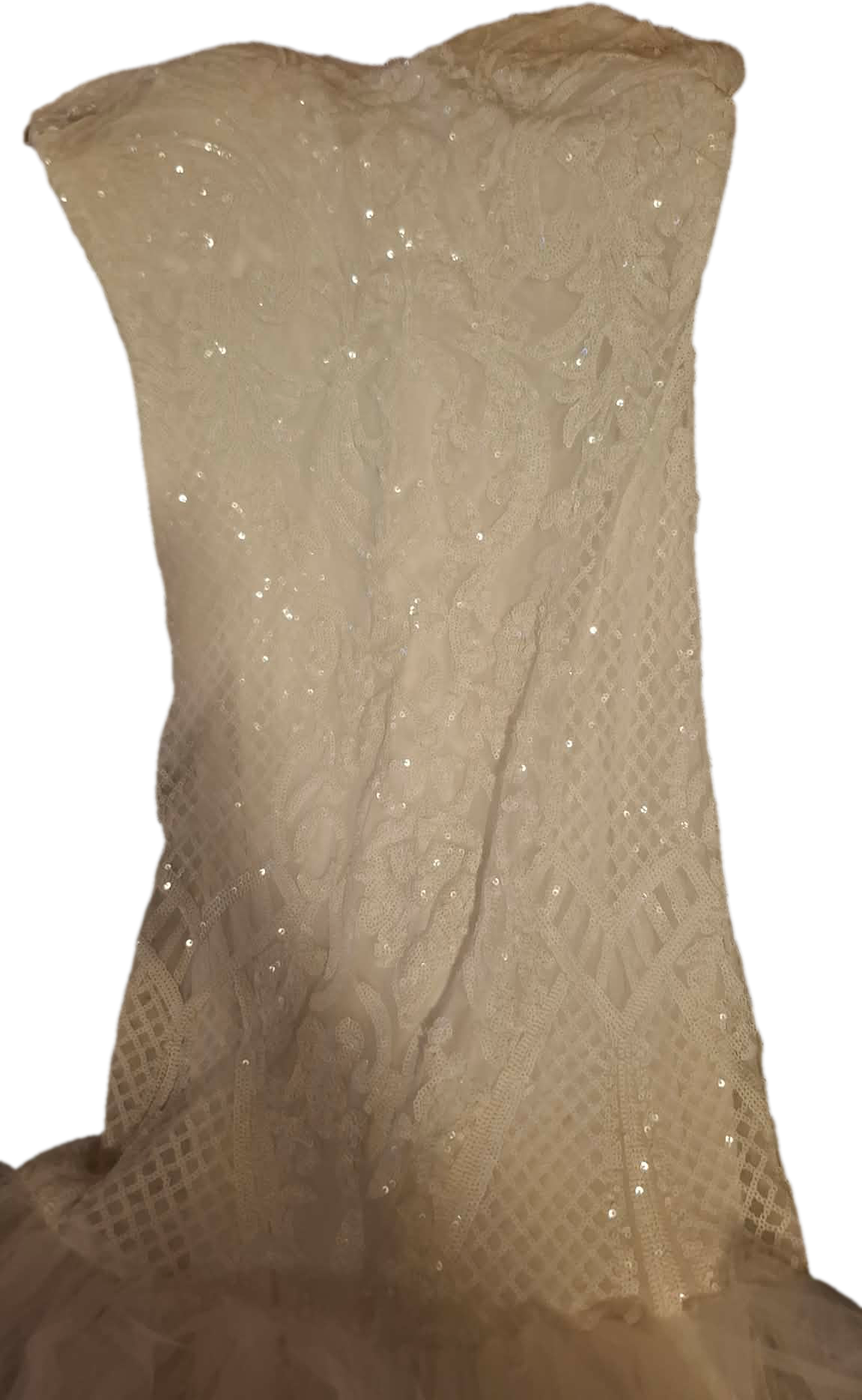 Robe de mariée bustier scintillante et jupe volumineuse photo 2