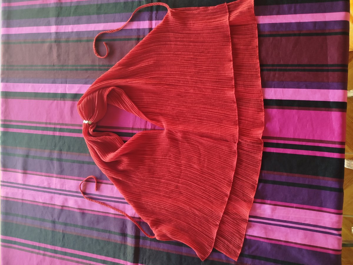 Haut plissé rouge dos nu photo 1
