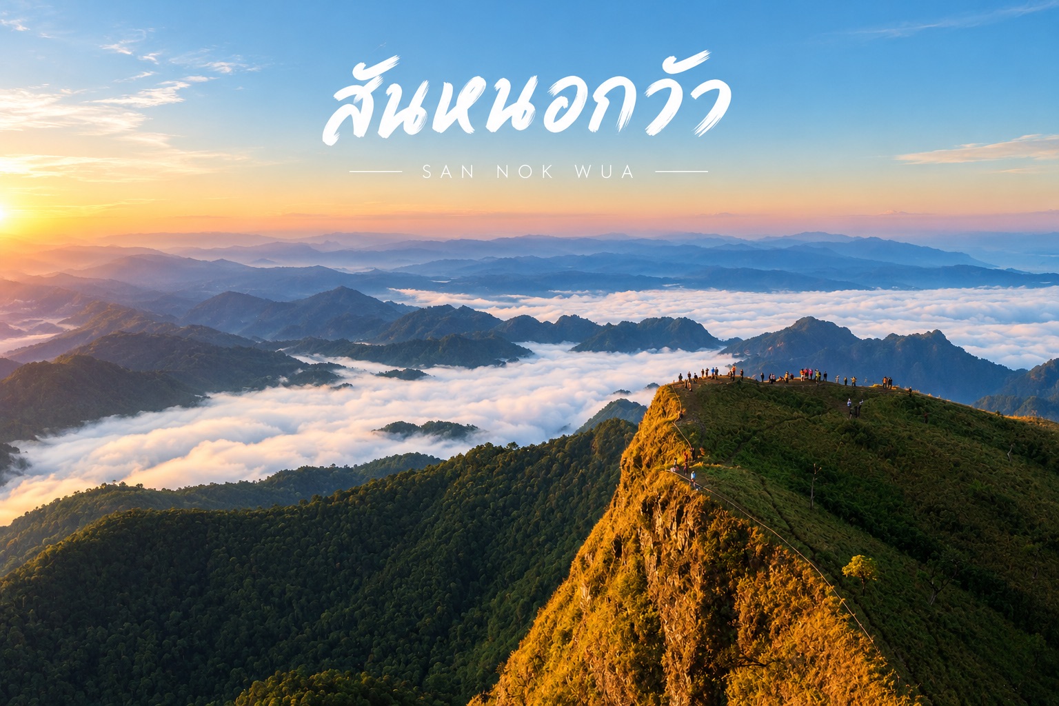 สันหนอกวัว