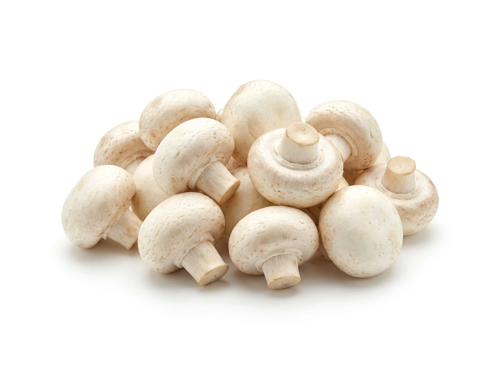 Pieczarki białe