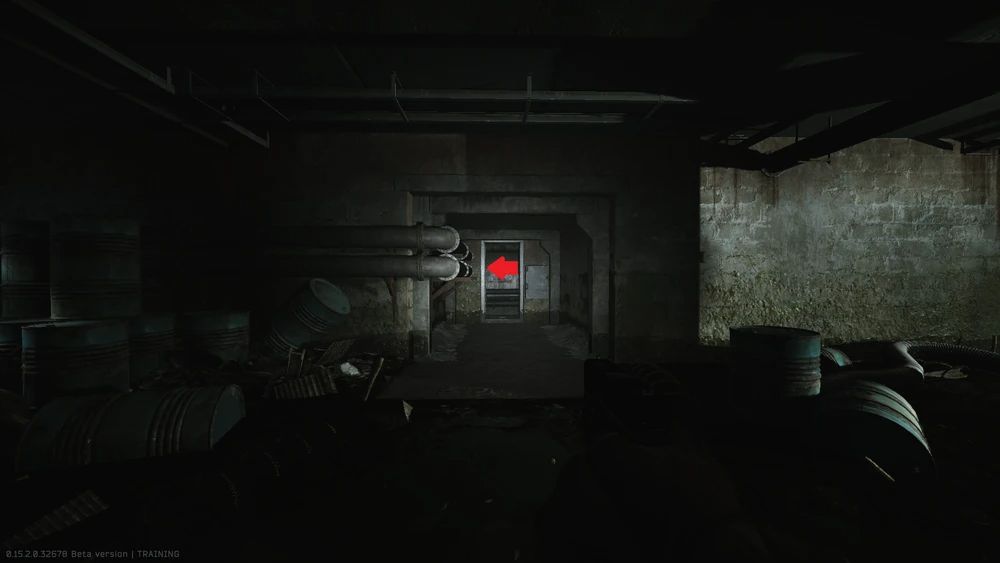 Doorway in the flooded basement