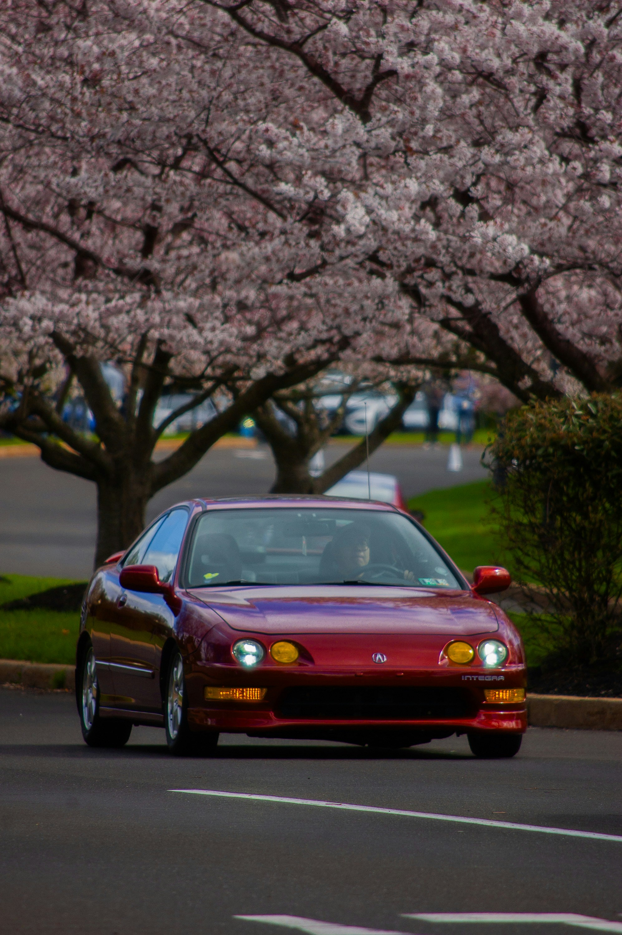 Drive a Acura on Tarlen Carshare