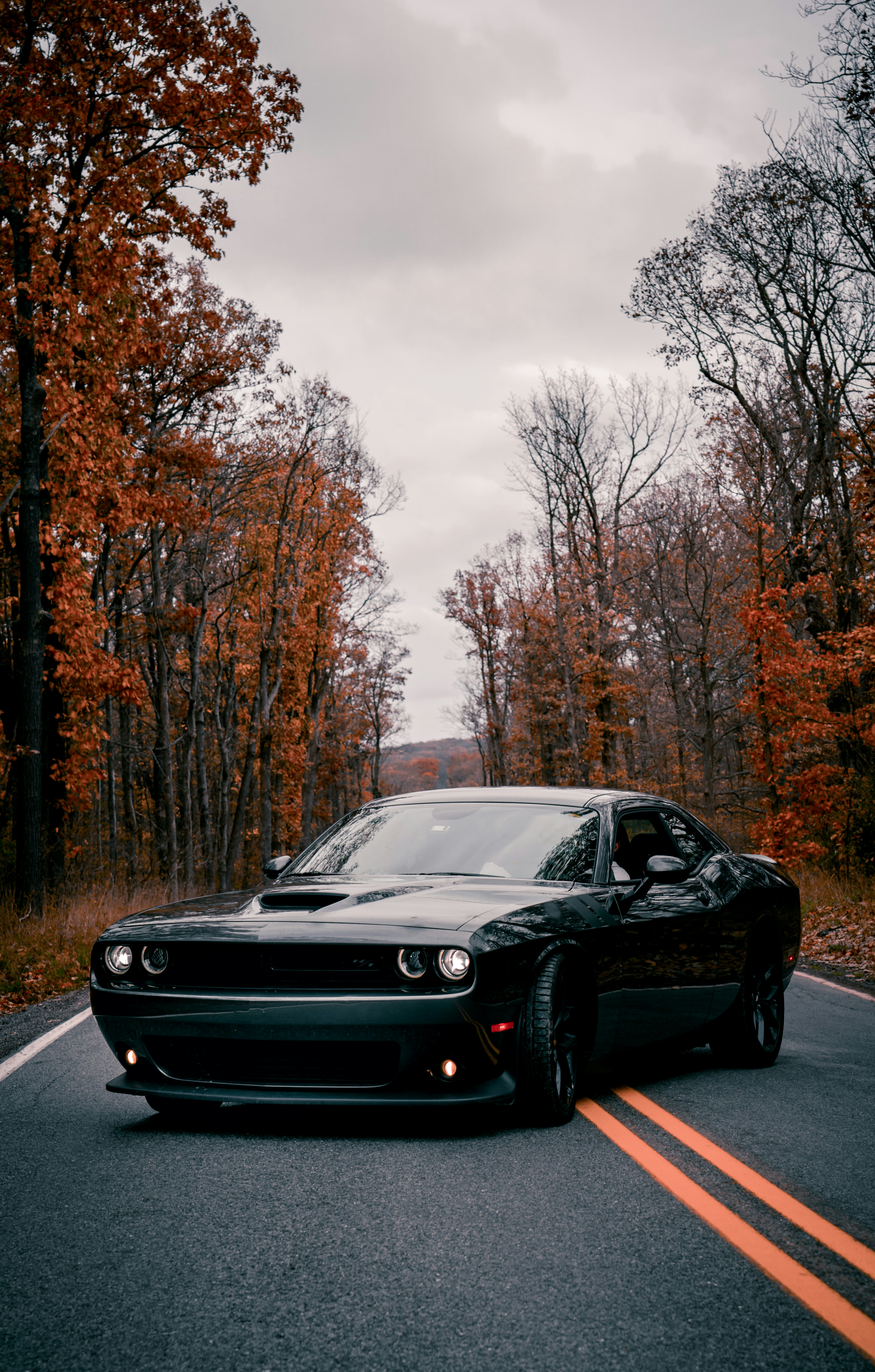 Drive a Dodge on Tarlen Carshare