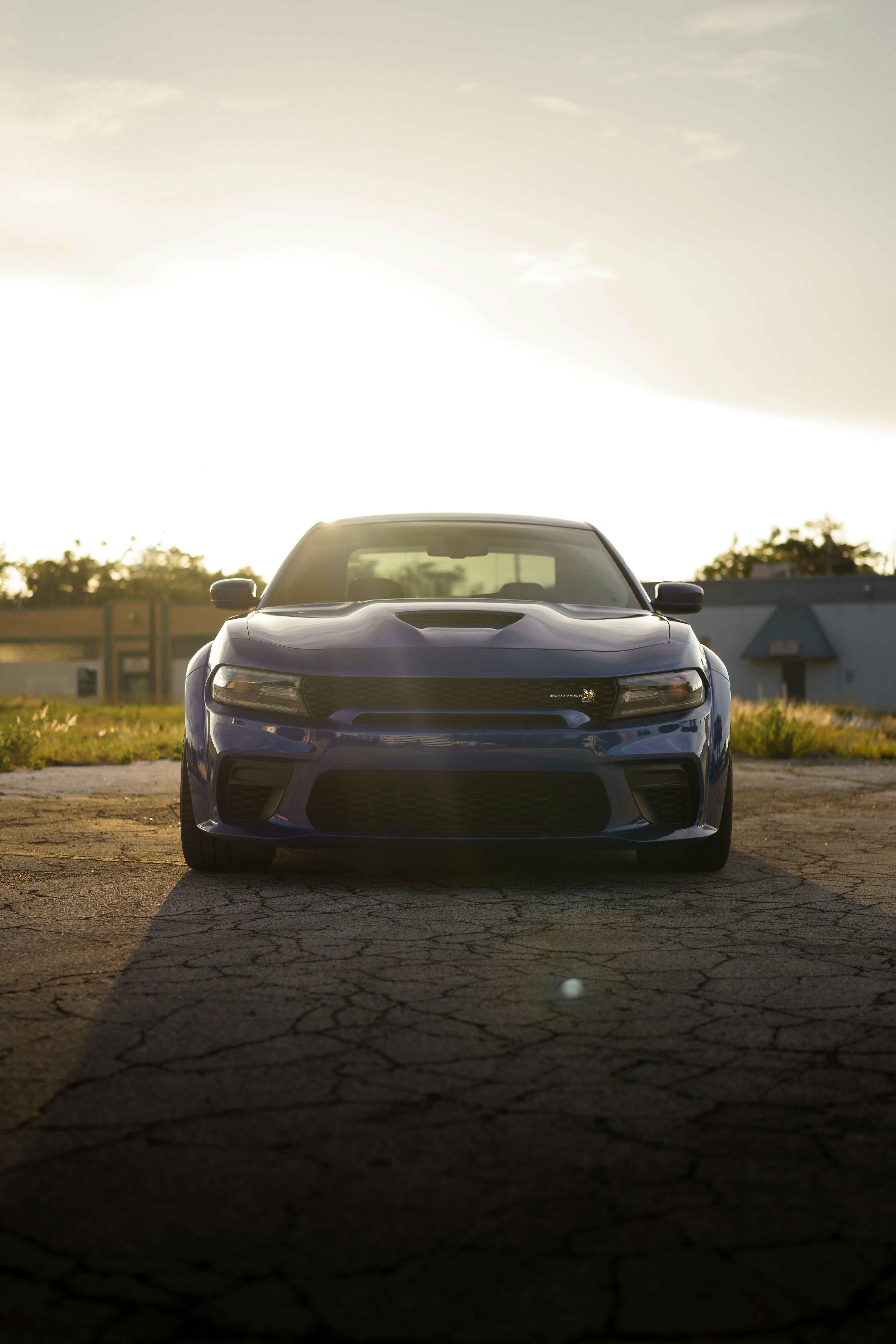 Drive a Dodge on Tarlen Carshare