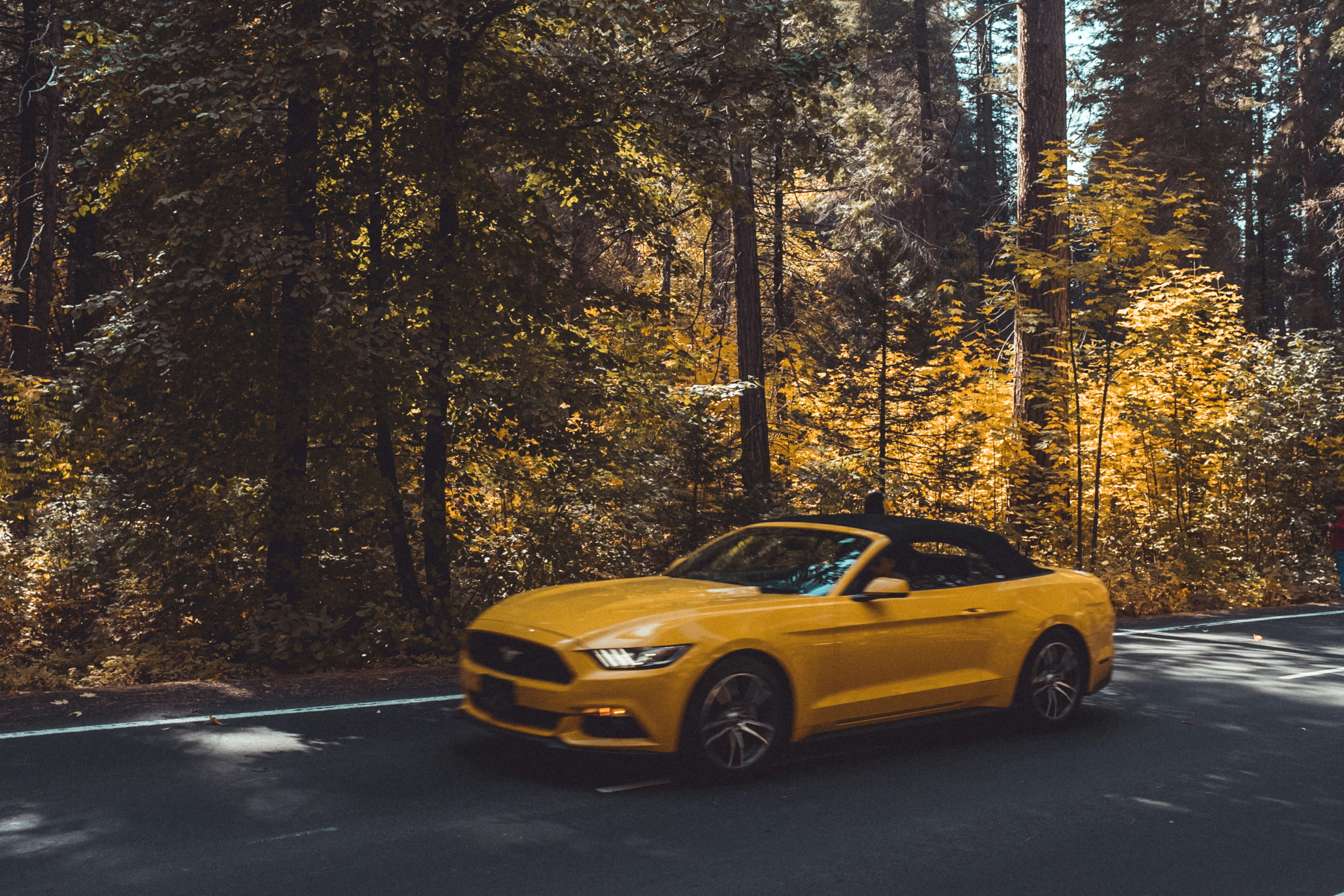Drive a Ford on Tarlen Carshare
