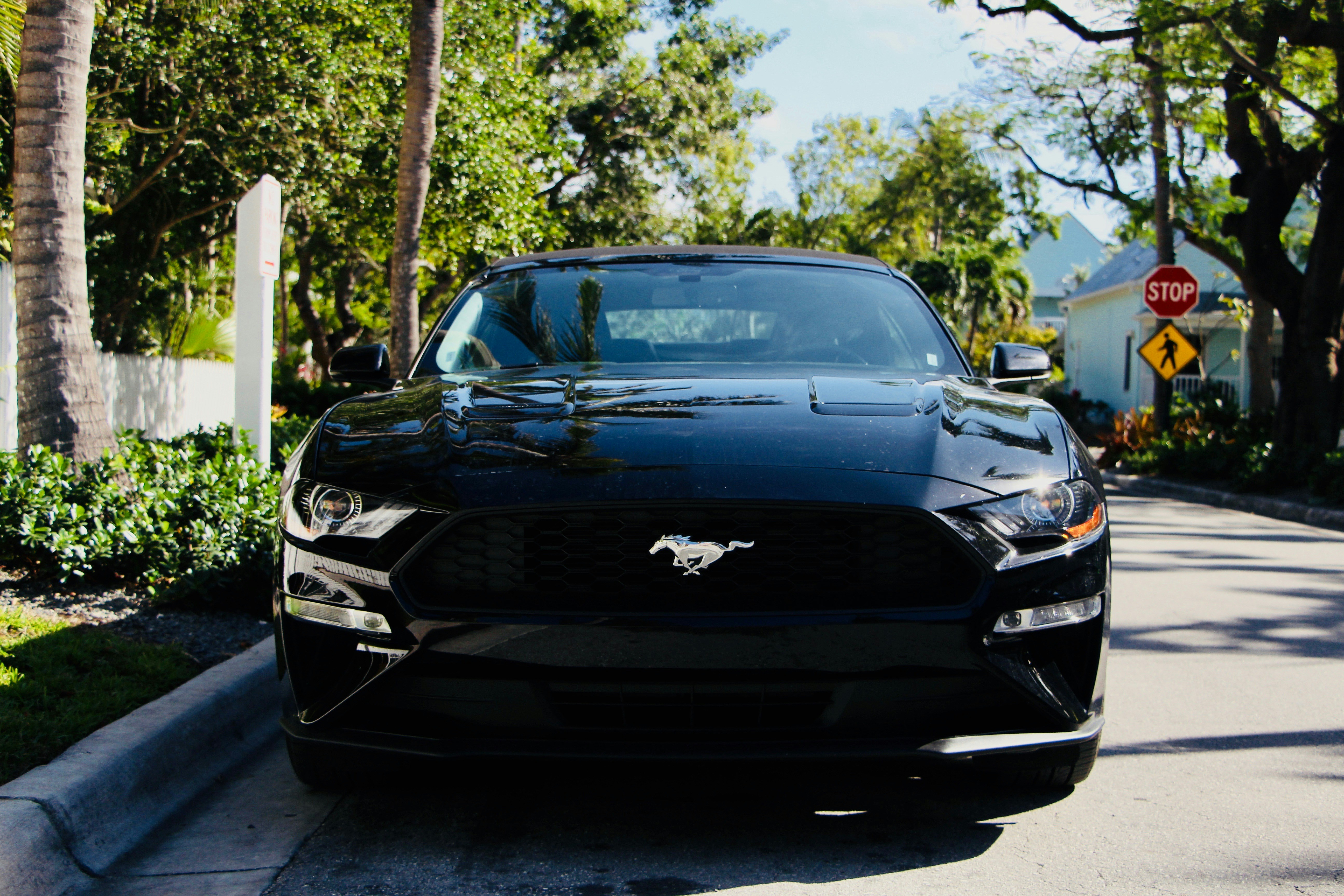 Drive a Ford on Tarlen Carshare