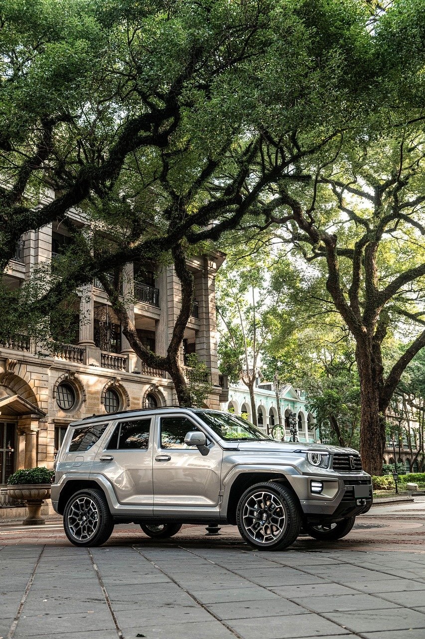 Drive a GWM on Tarlen Carshare