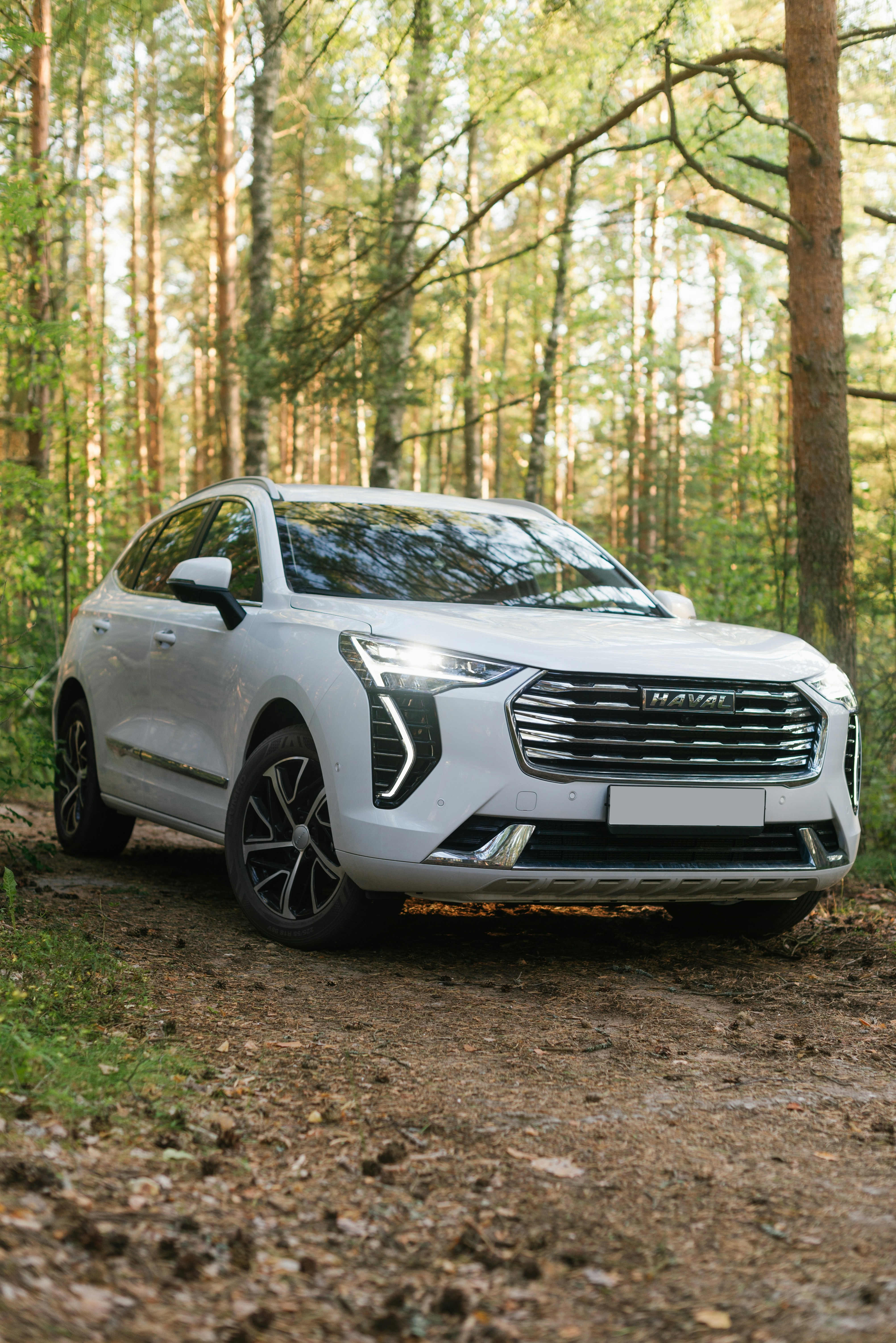 Drive a Haval on Tarlen Carshare