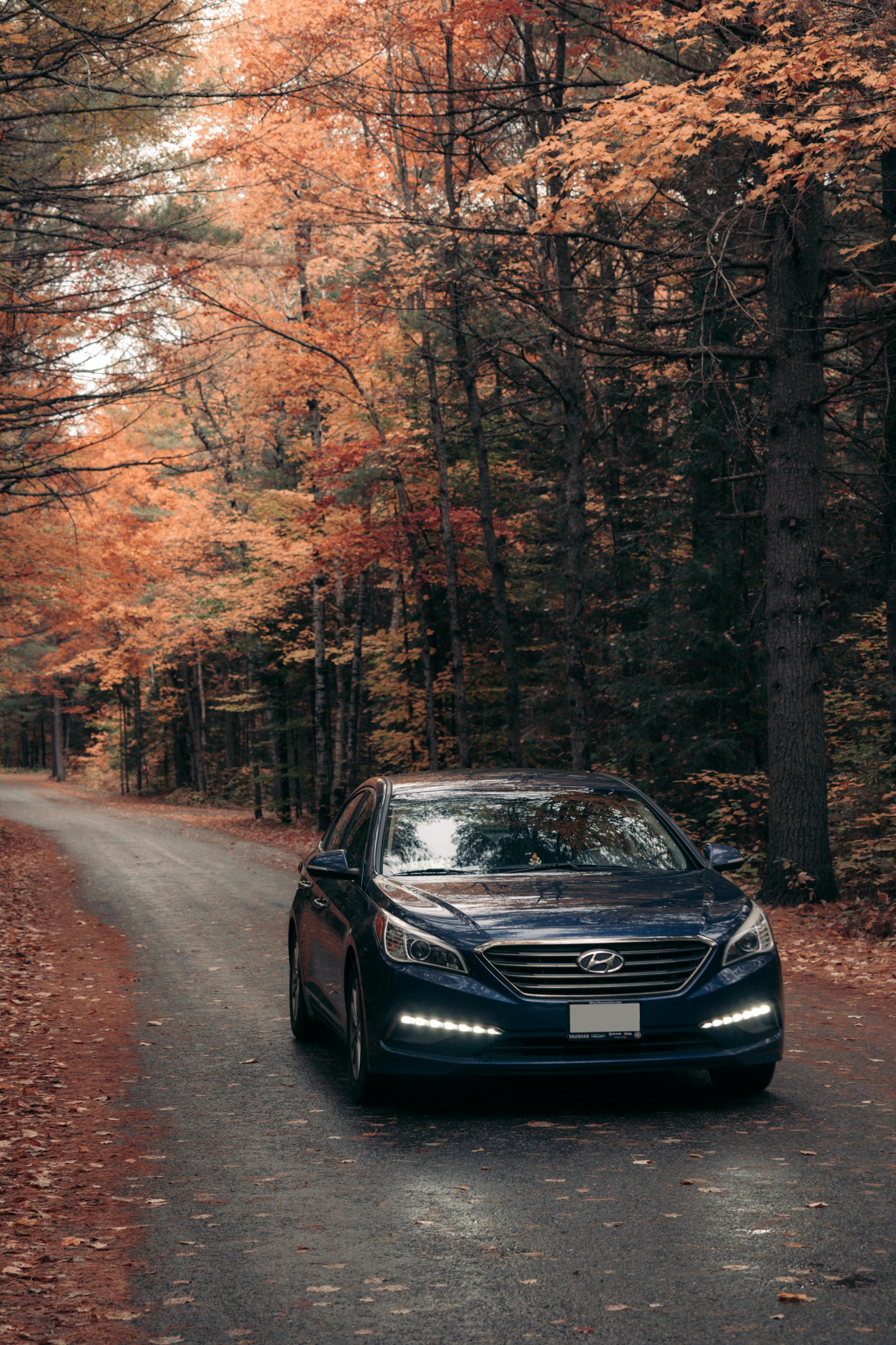 Drive a Hyundai on Tarlen Carshare