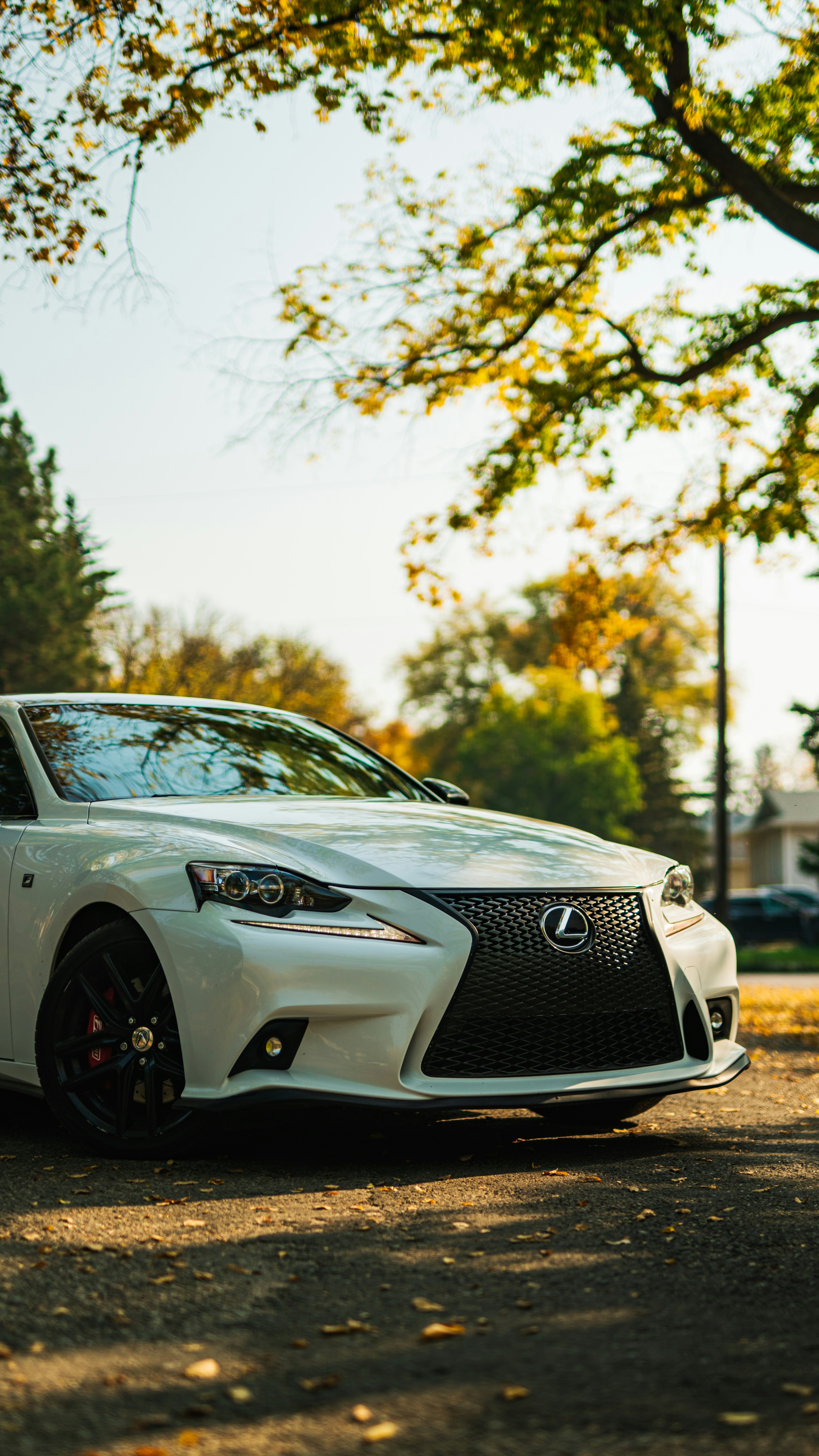 Drive a Lexus on Tarlen Carshare