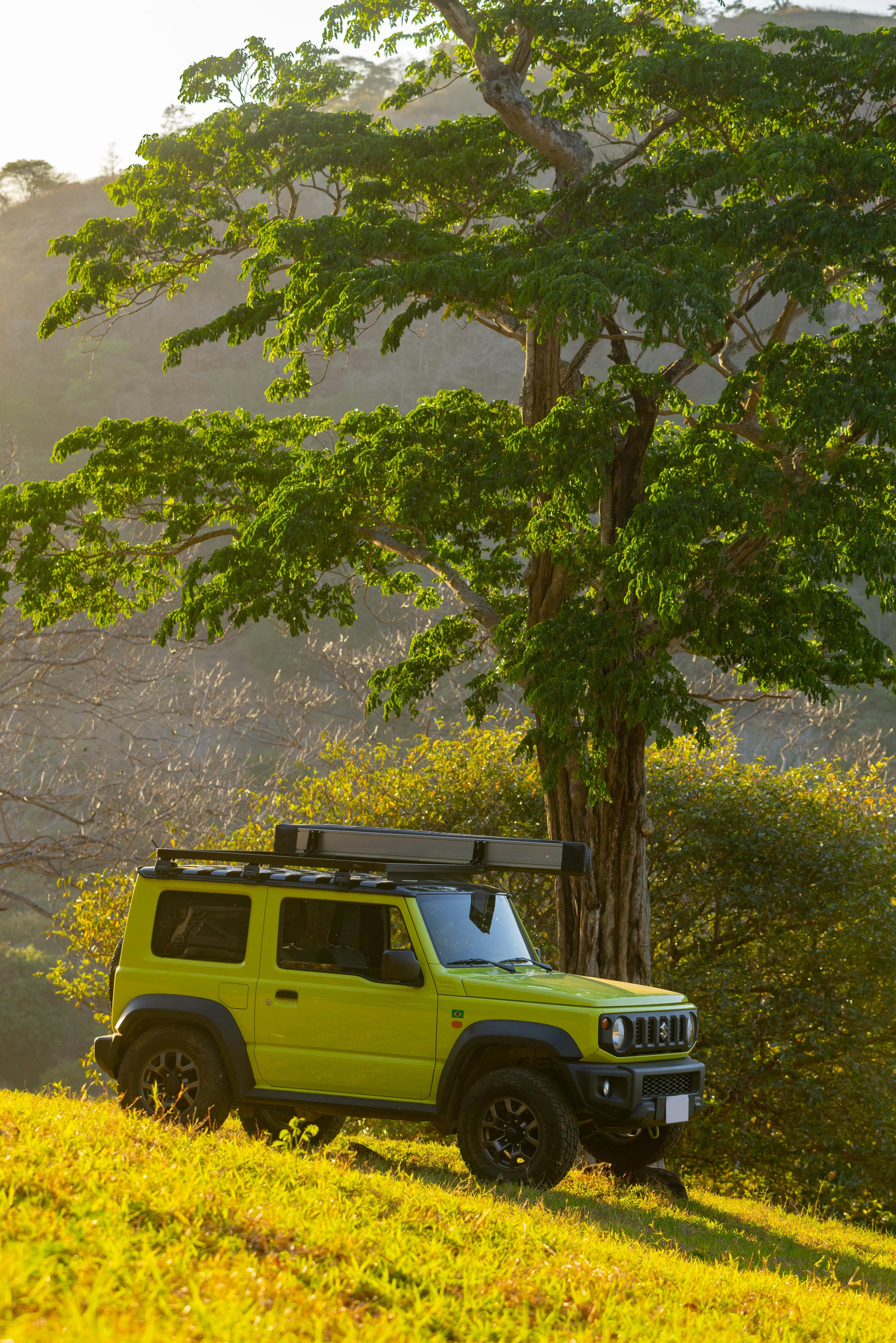 Drive a Suzuki on Tarlen Carshare