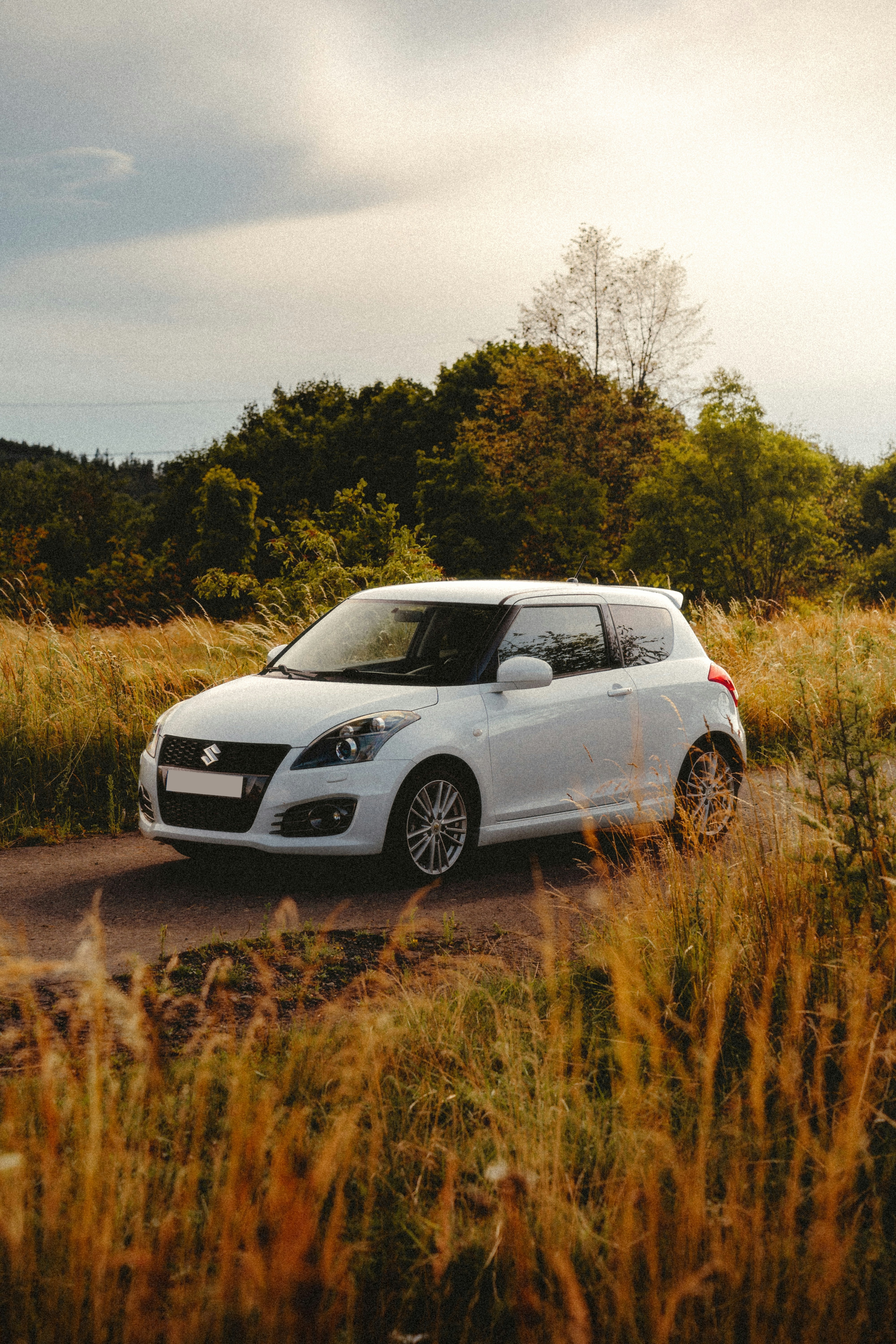 Drive a Suzuki on Tarlen Carshare