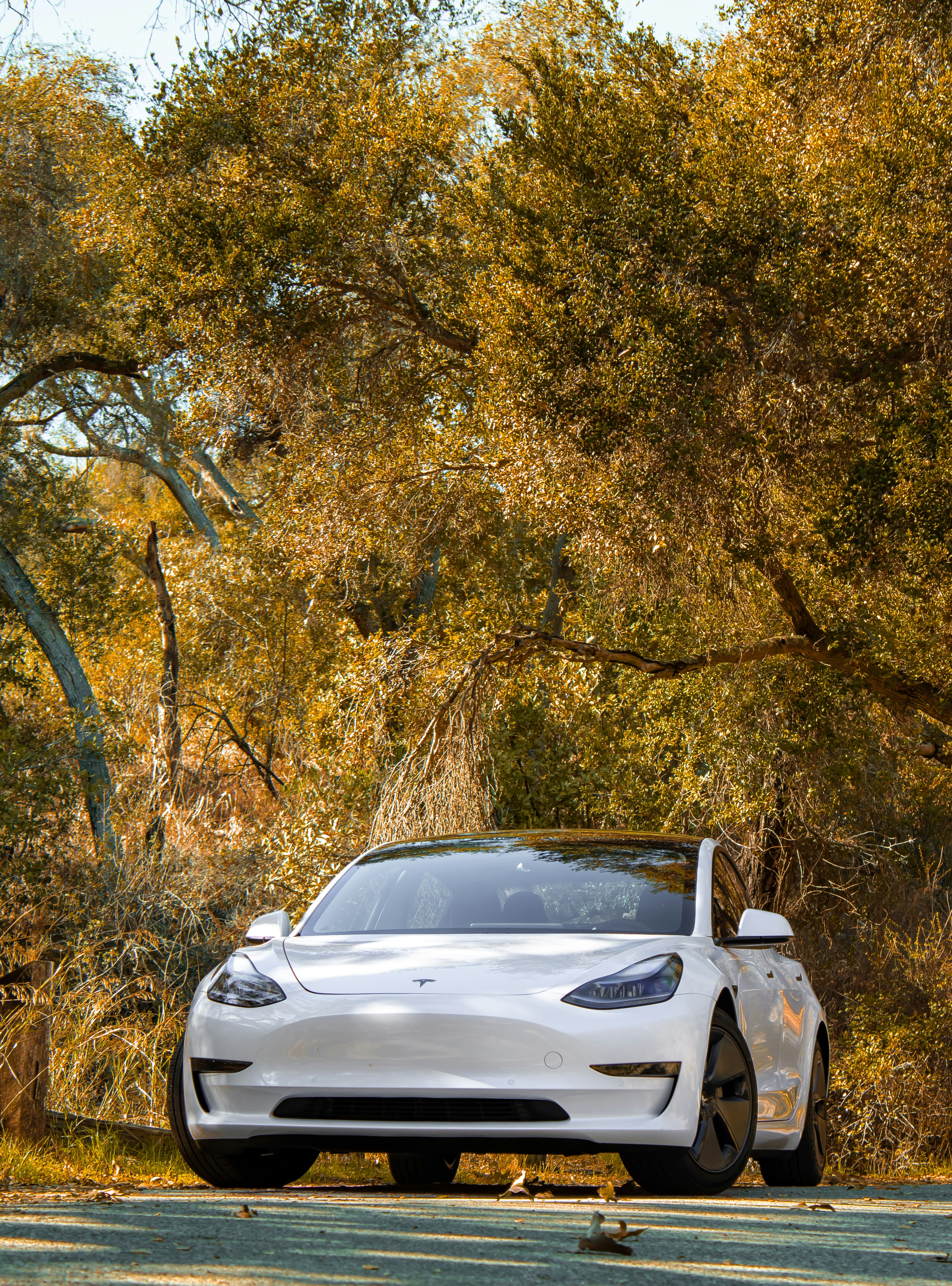 Drive a Tesla on Tarlen Carshare