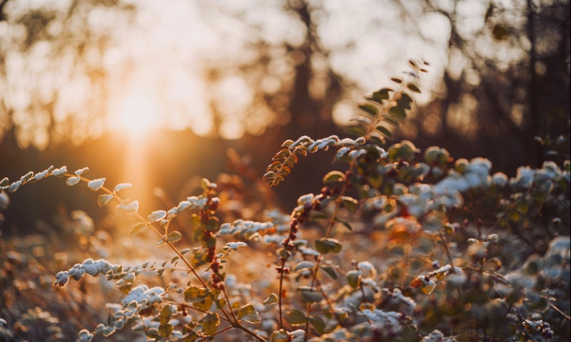 心靈旅途探索版