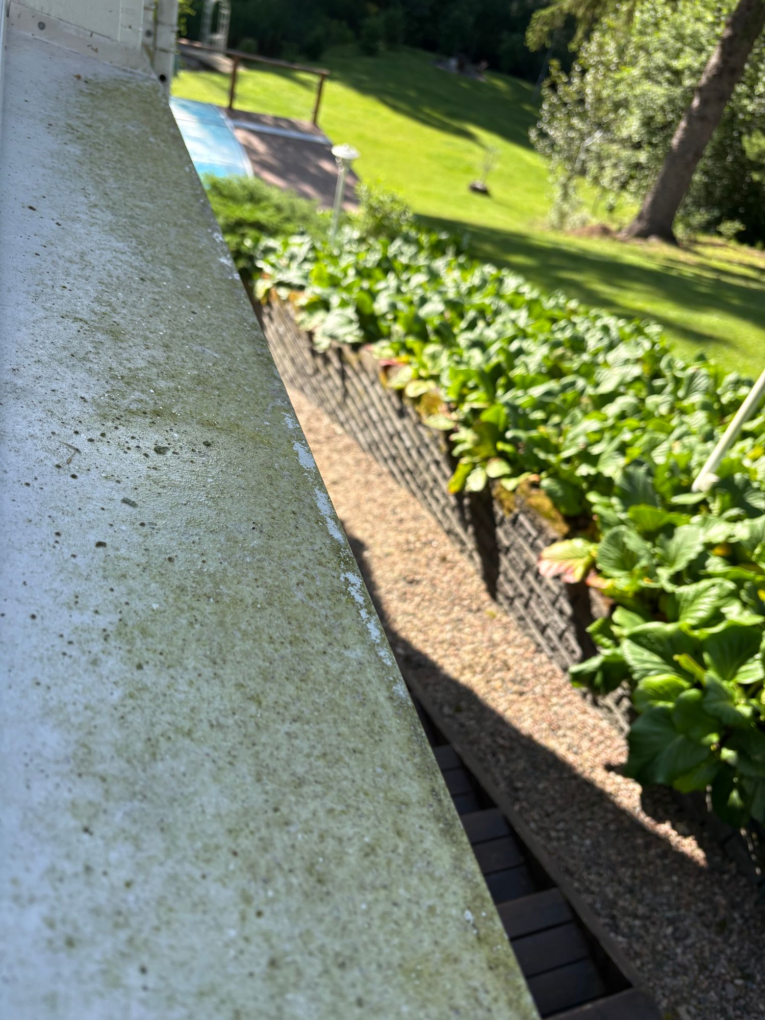 Gutter brightened after the wash, seen from the garden side