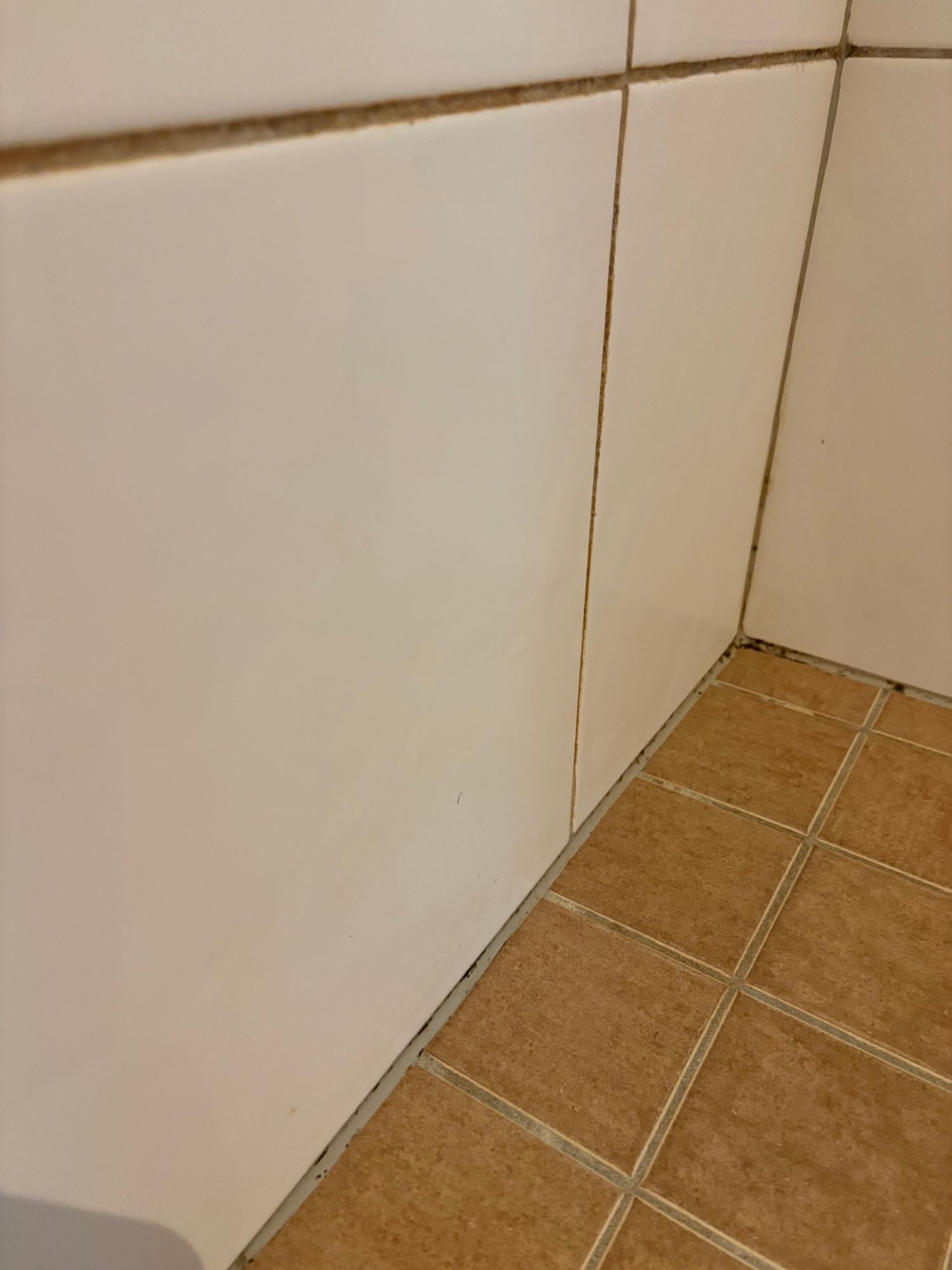 Bathroom corner before the deep clean — dirty grout