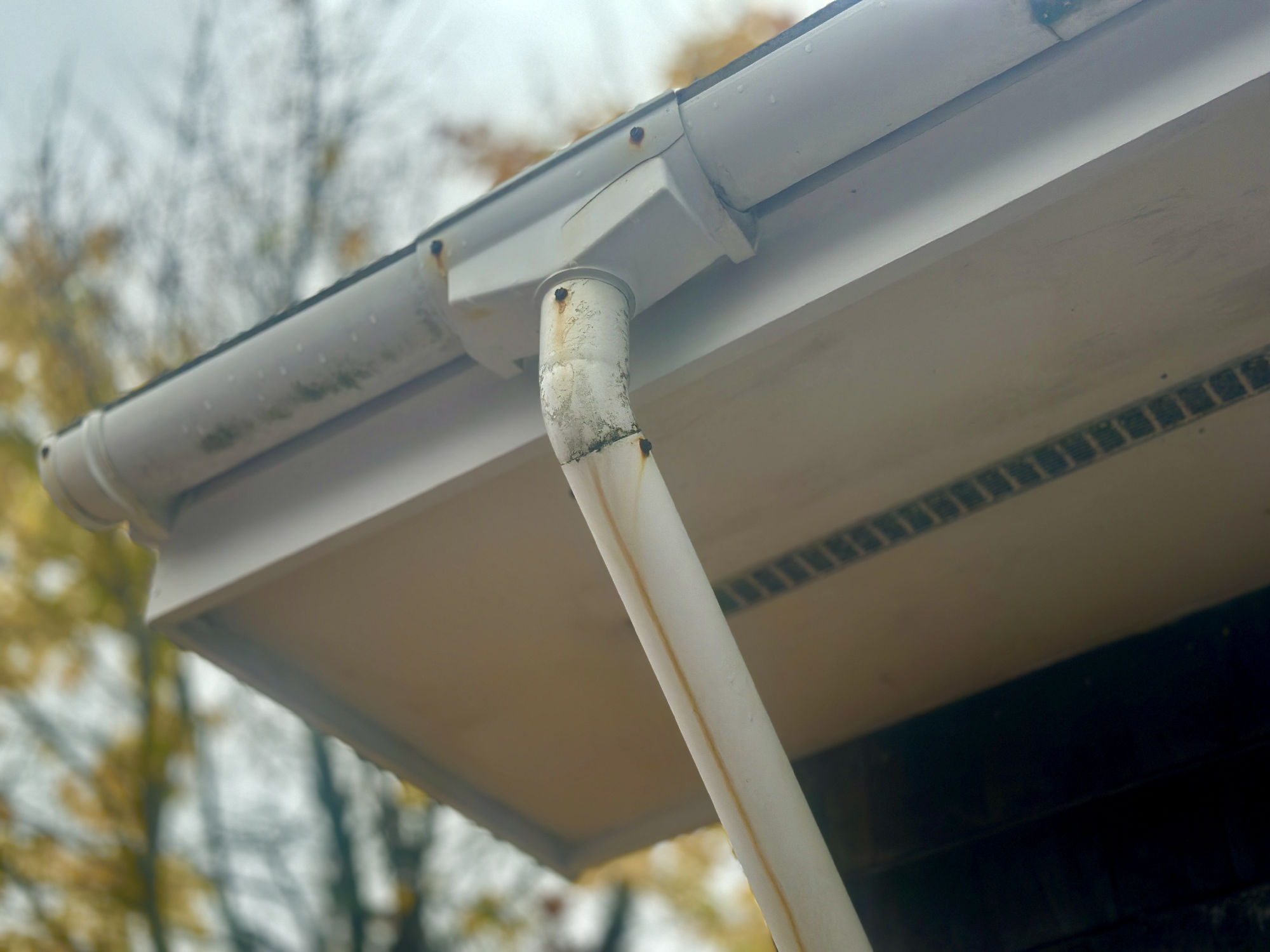 Gutter cleaning
