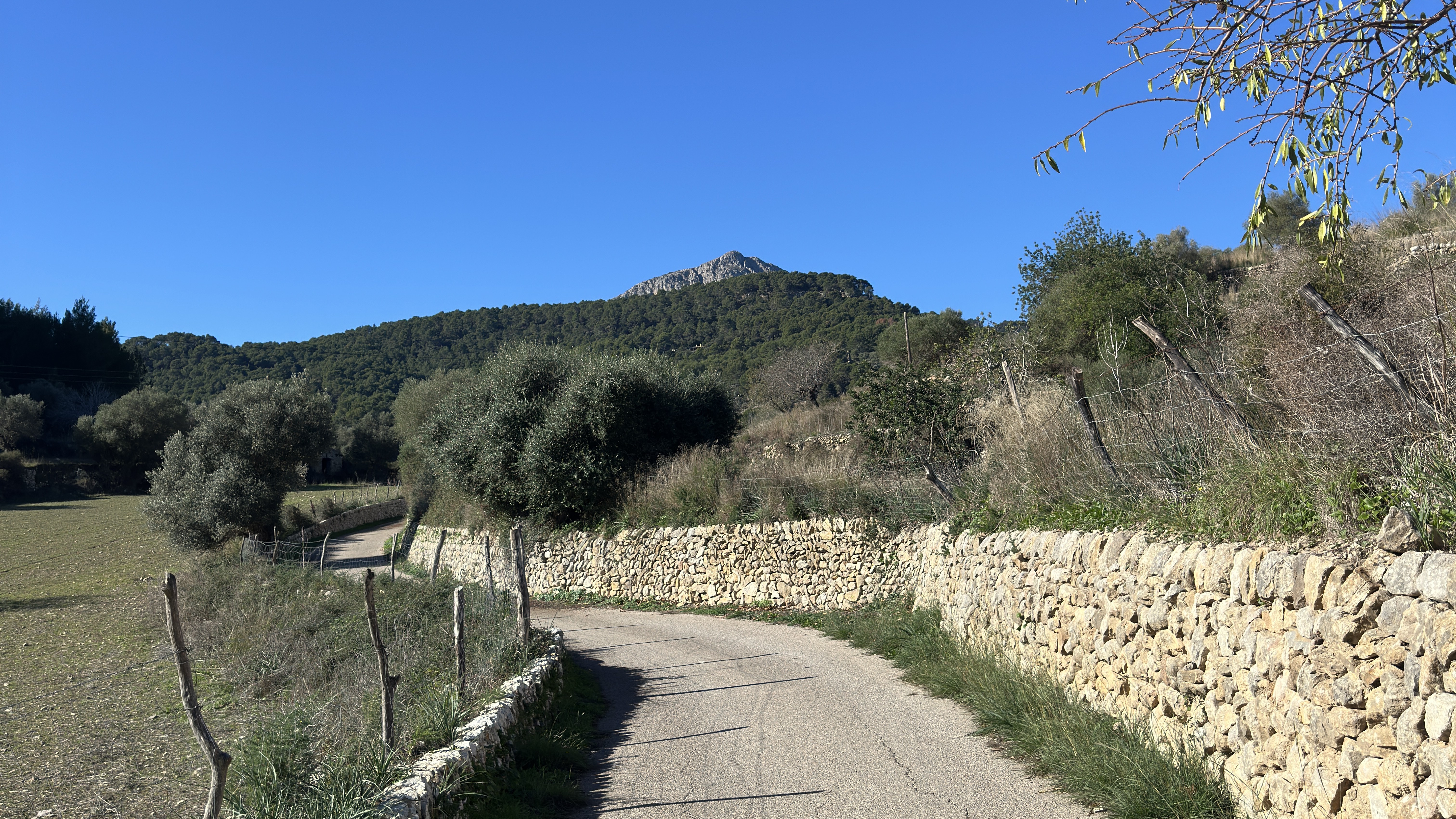 Why Winter is the Best Time to Understand Mallorca