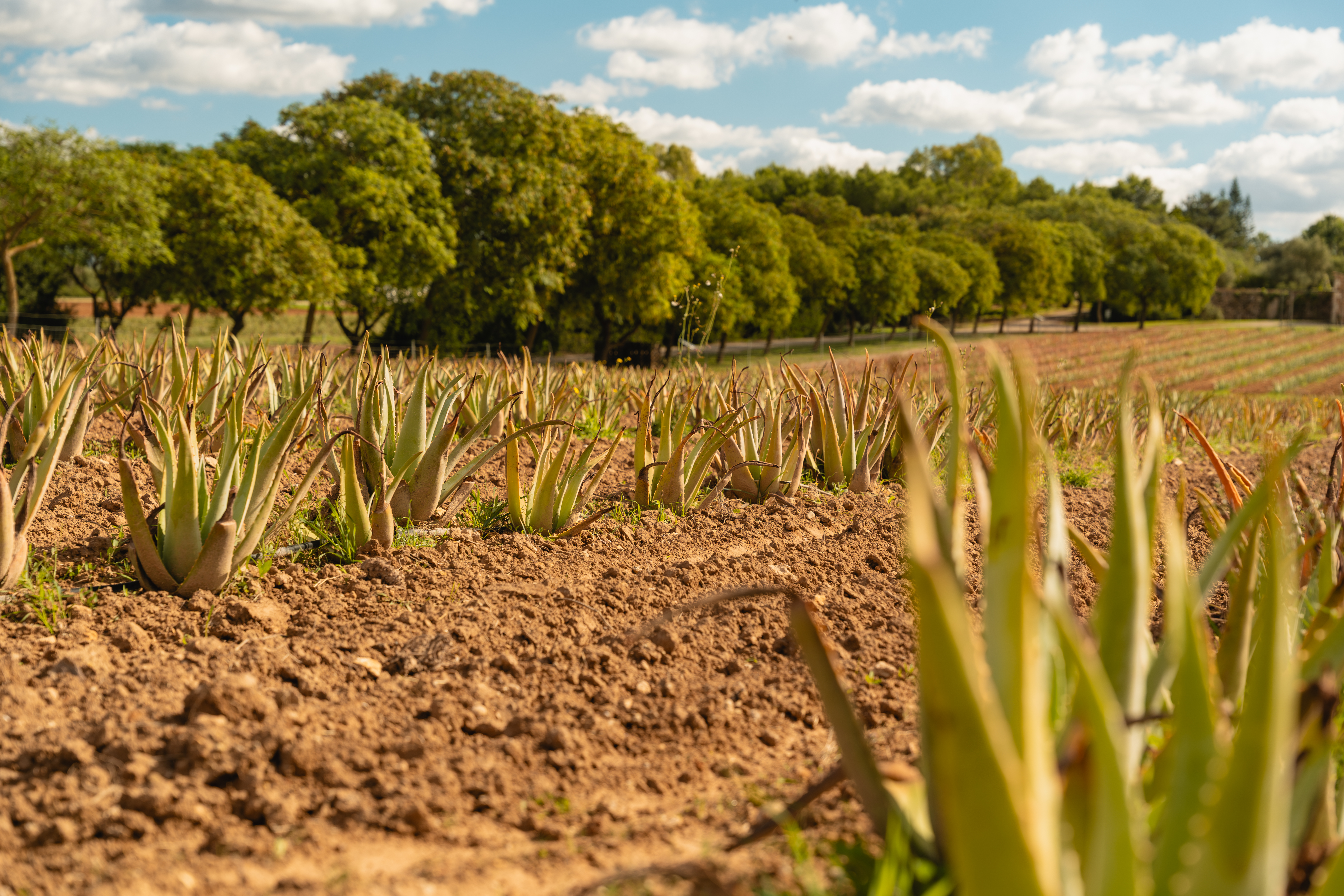 Tour gallery image 2