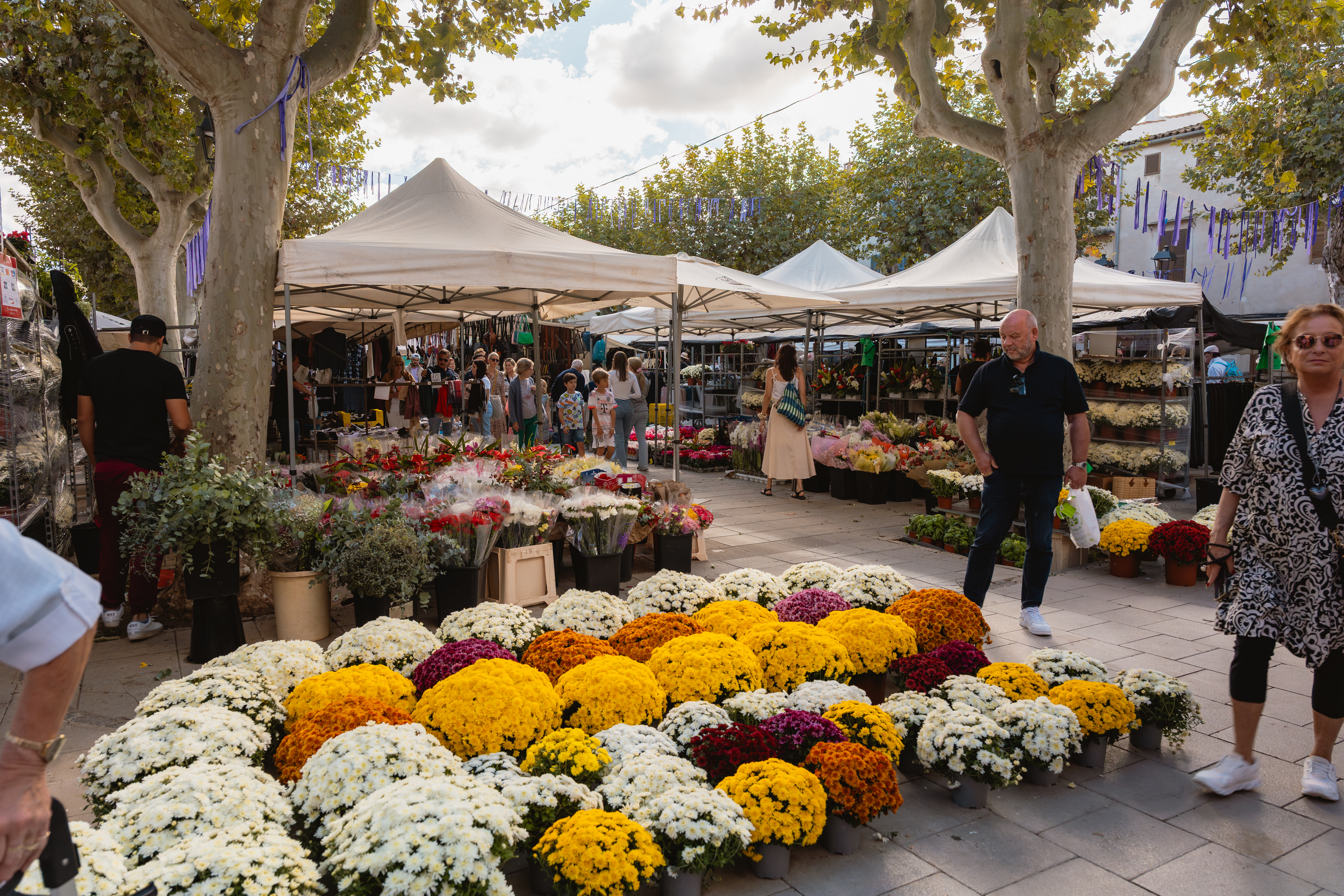 Tour gallery image 5