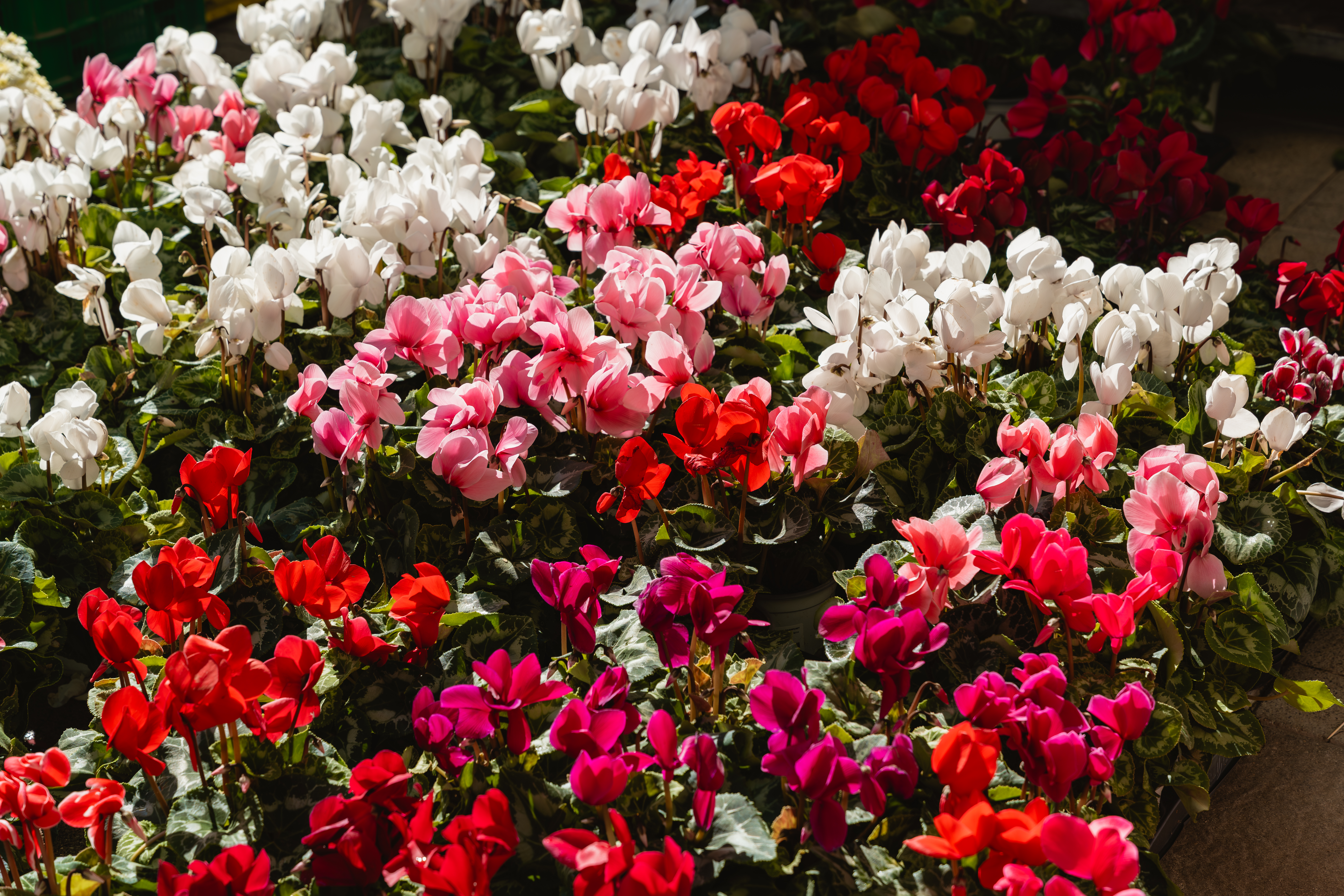 Tour gallery image 6