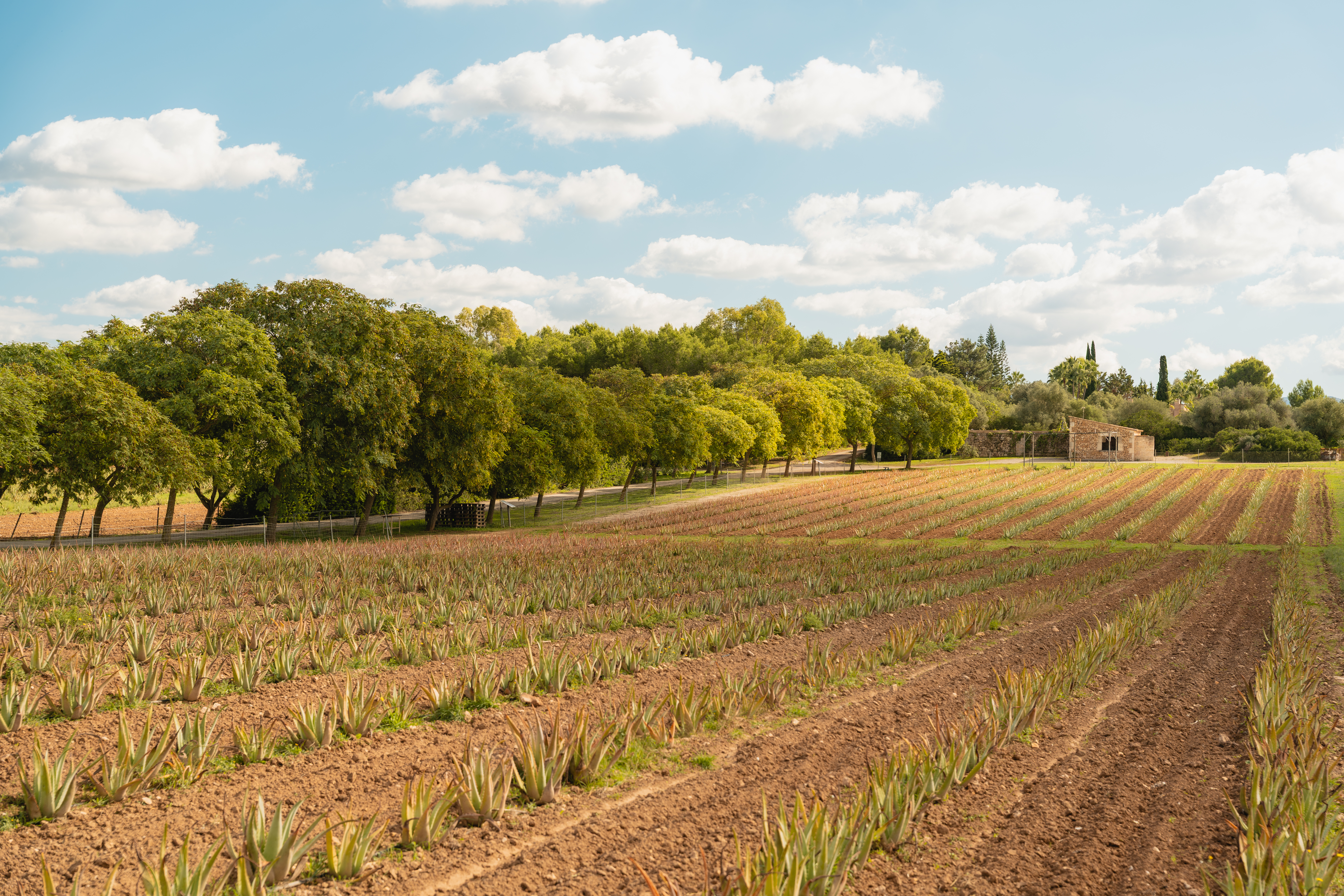 Tour gallery image 8