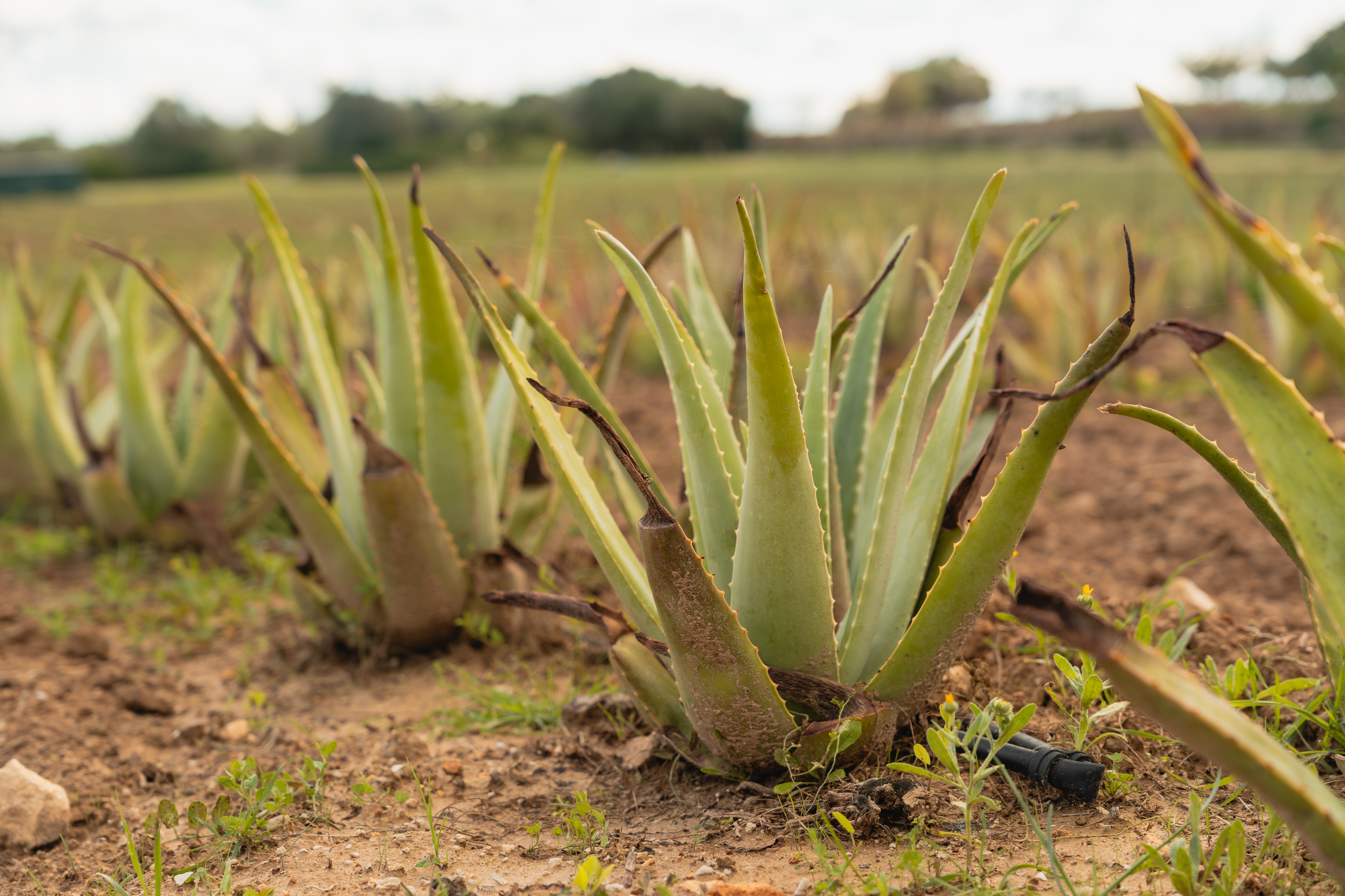 Tour gallery image 10