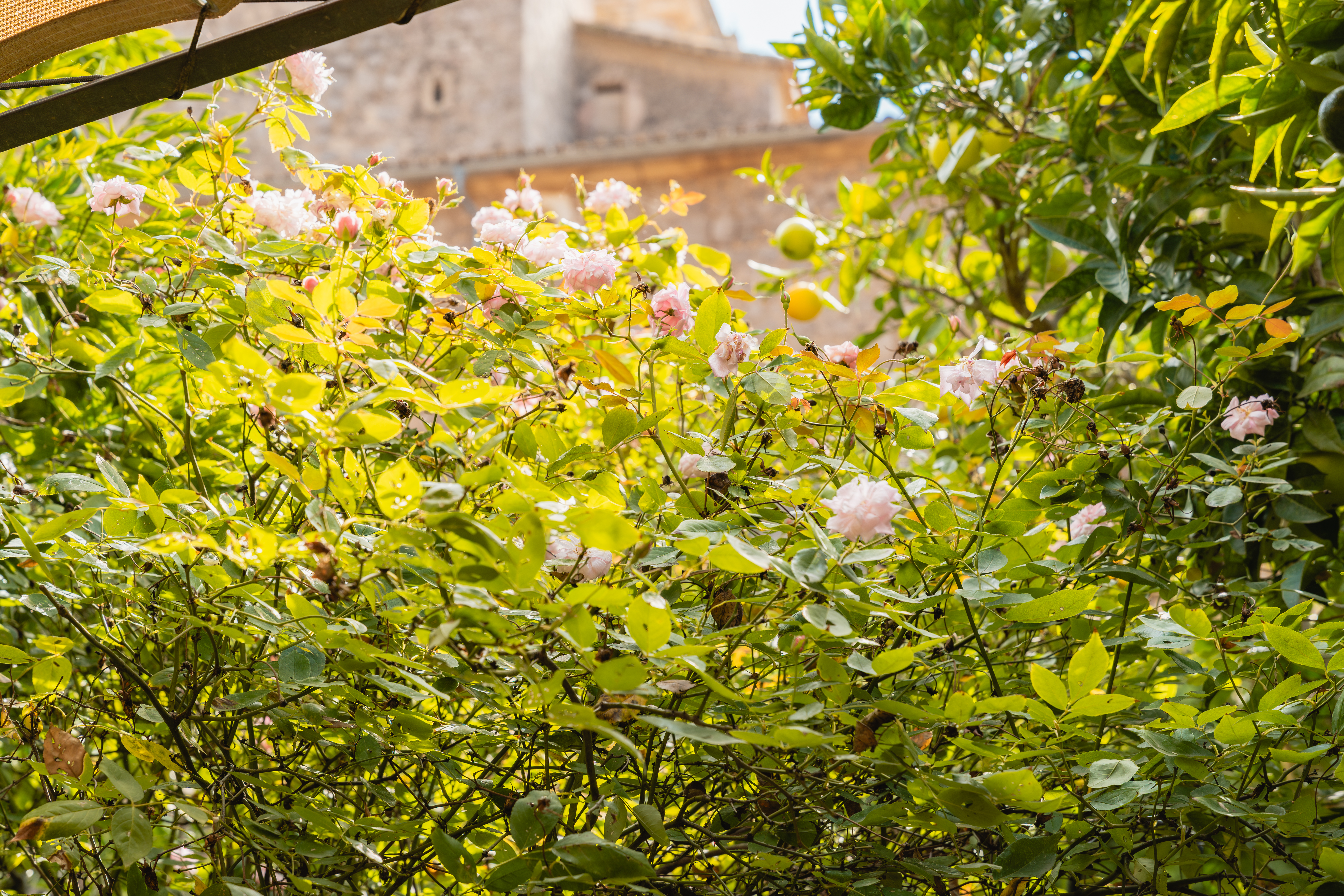 Tour gallery image 5