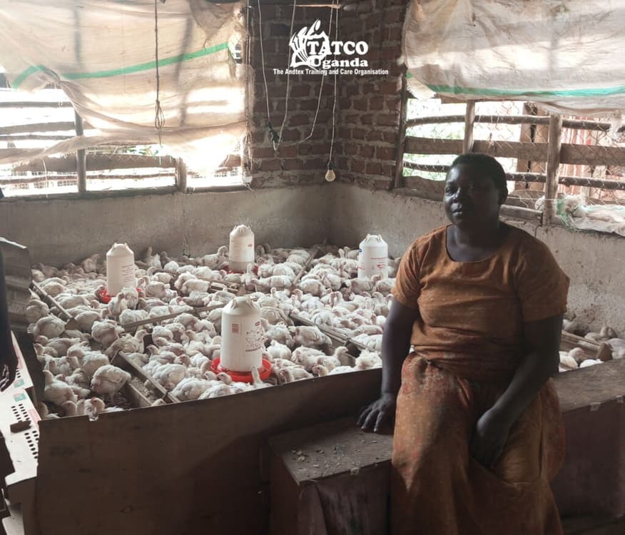 Poultry Rearing Project