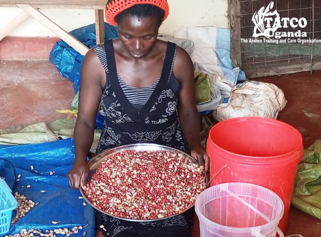 women economic empowerment through credit support and busine