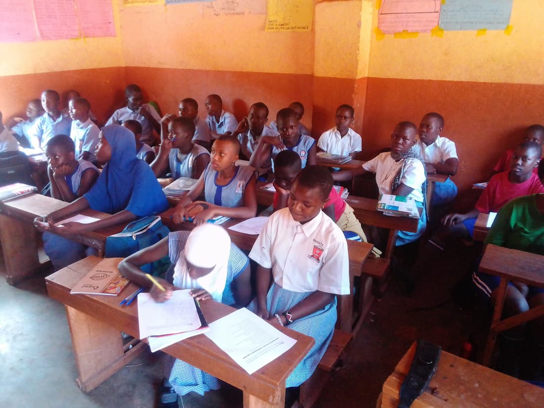 you will pass p l e 2023 and know the career options waiting