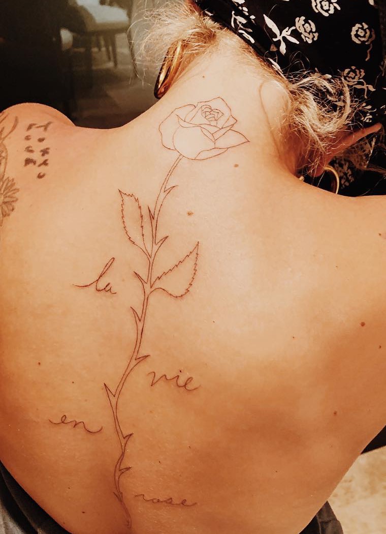 A tight crop showing the rose bloom, serrated leaves, thorned stem, and La Vie en Rose script