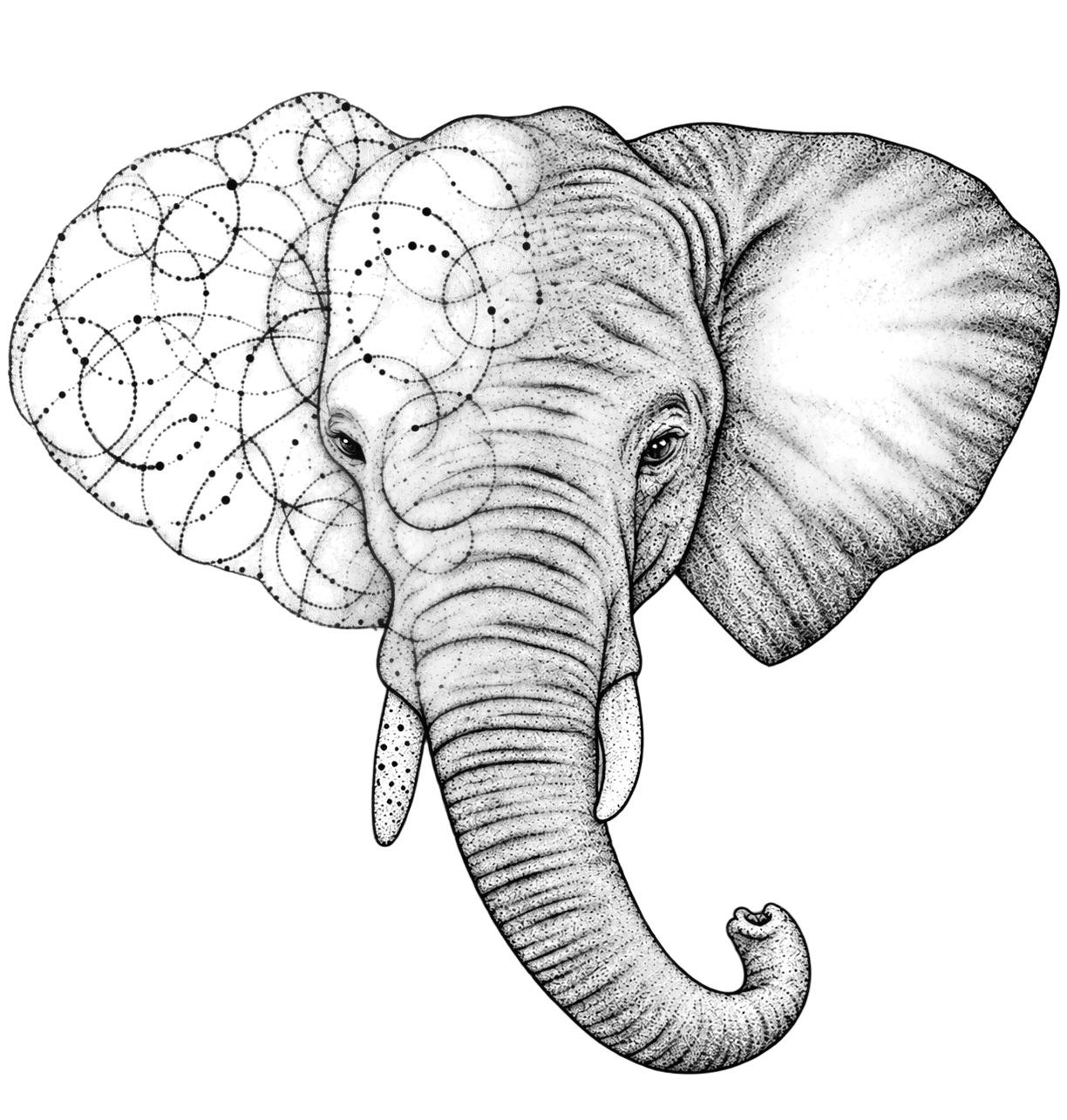 Tattoo-only artwork for Geometric black-and-grey elephant portrait