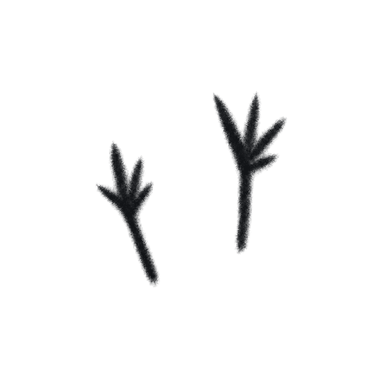 Tattoo-only artwork for Blackbird foot-track wrist pair